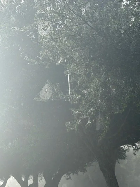 IMG_5113 Medium.jpeg