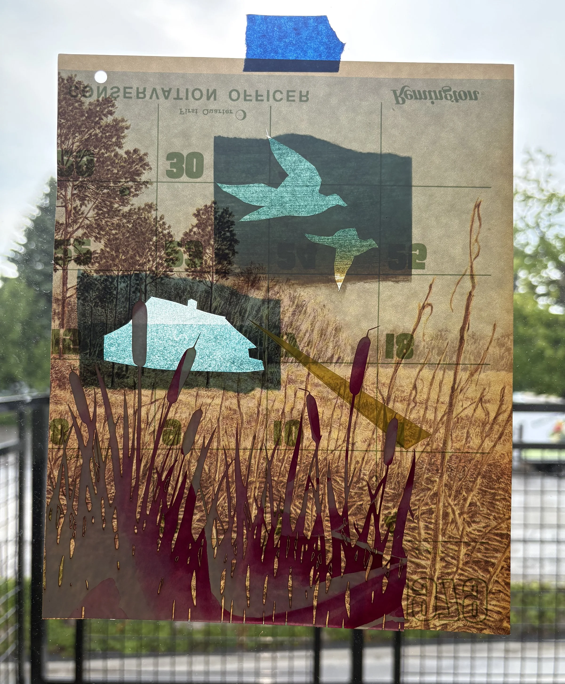 Experiment 1 in Window_Willadsen.jpg