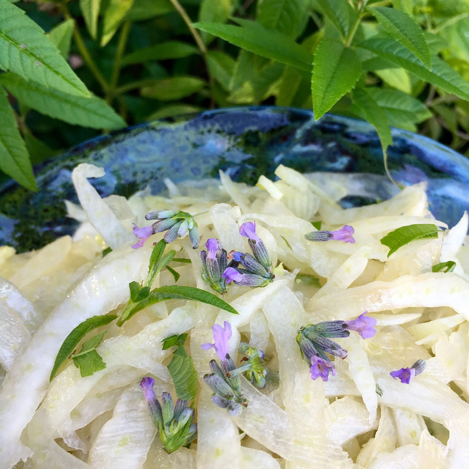 Finocchio e fagiolini con semi di finocchio