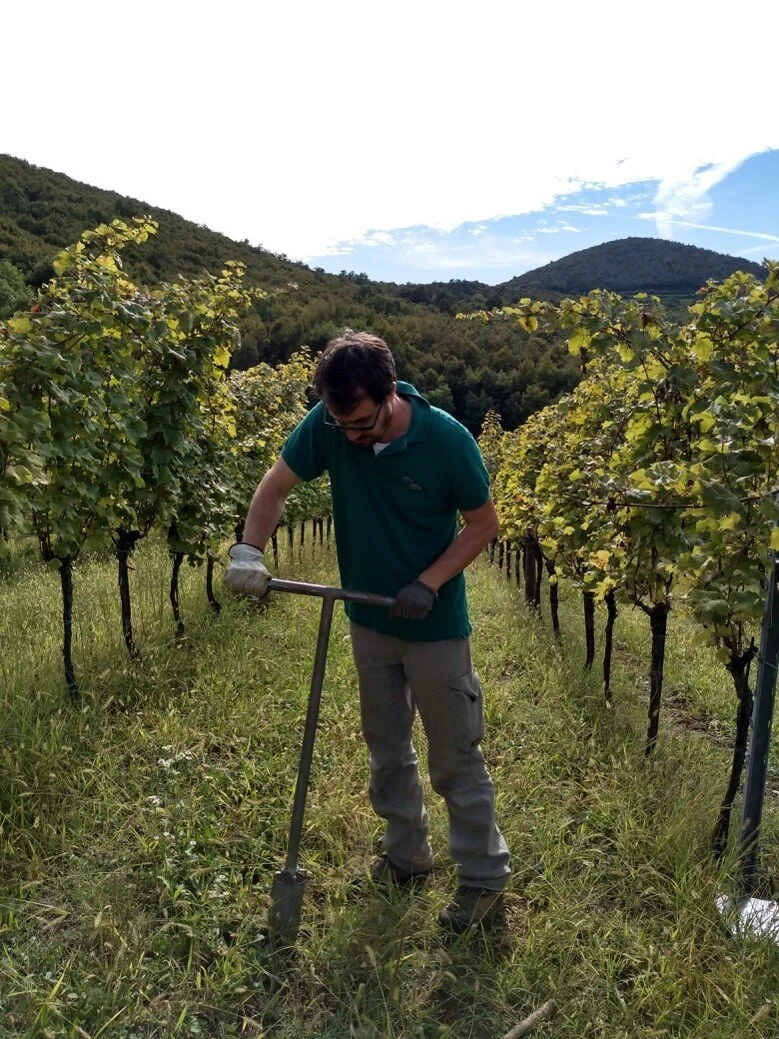fase del prelievo di terra per il calcolo dell’indice di qualità biologica dei micro-artropodi del suolo (indice QBS-ar) svolti dal dott. Lorenzo Tonina e dalla dott.ssa Giulia Zanettin: scavo della buca (profondità 10 cm) e rimescola- mento del cam…