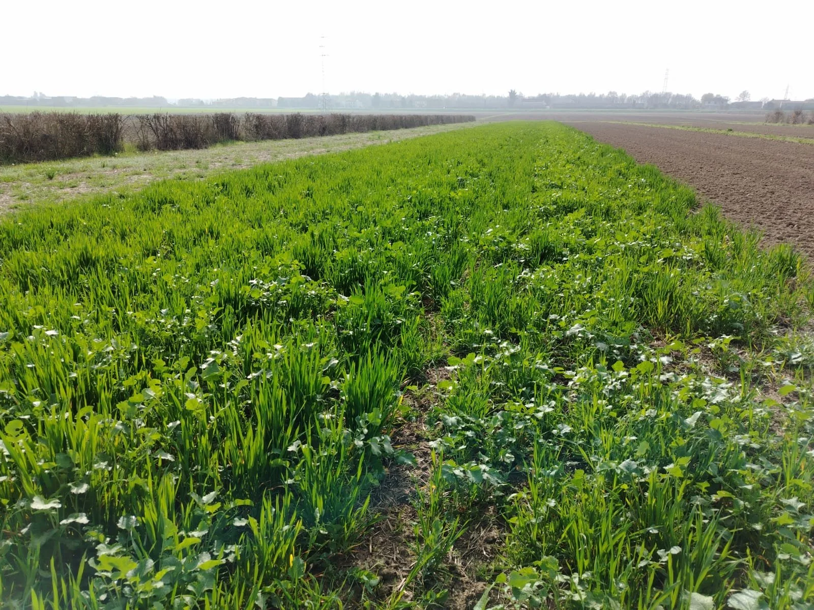 WhatsApp Image 2026-03-27 at 11.35.33 (1).jpeg