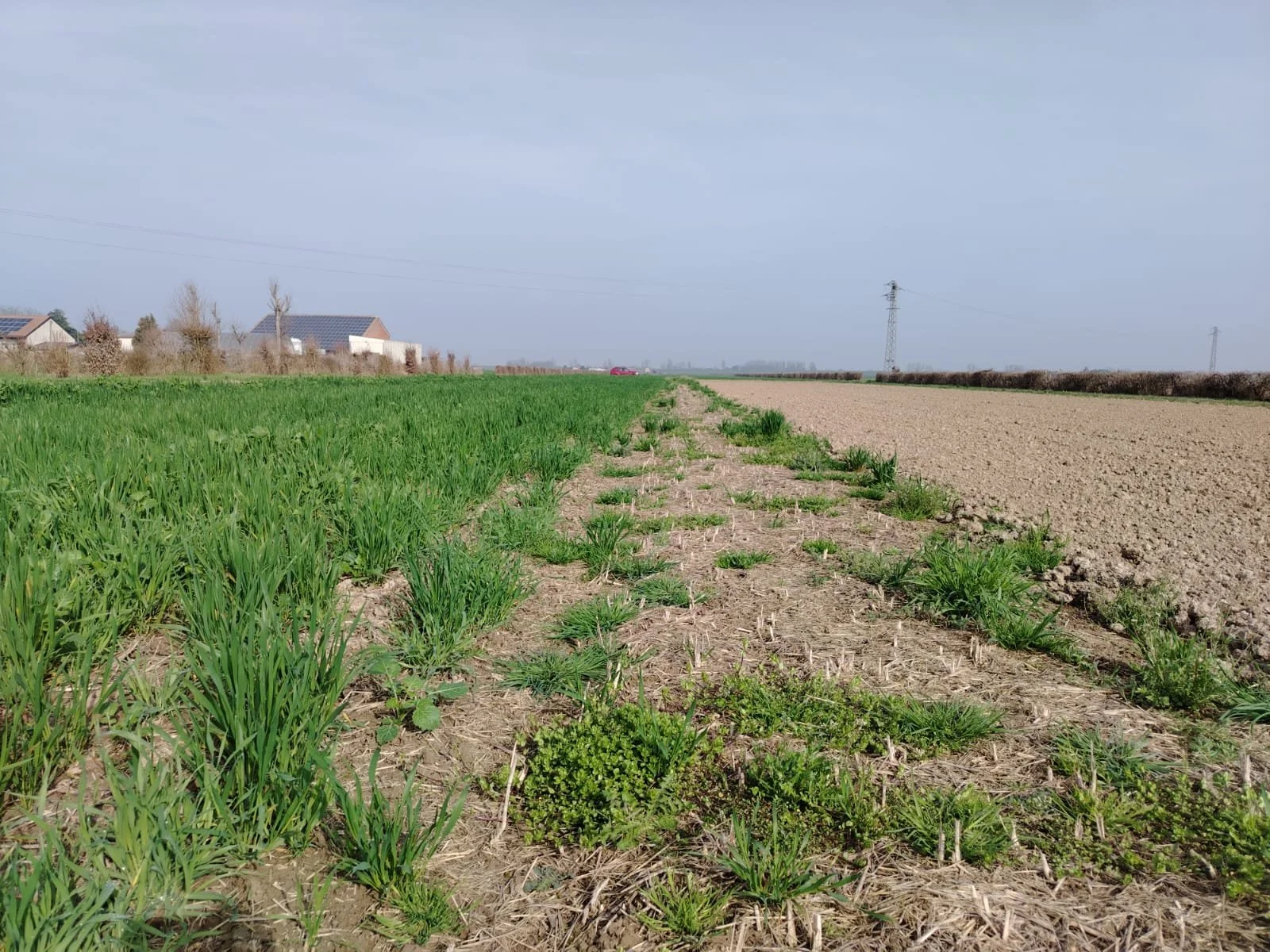 WhatsApp Image 2026-03-27 at 11.35.33 (2).jpeg