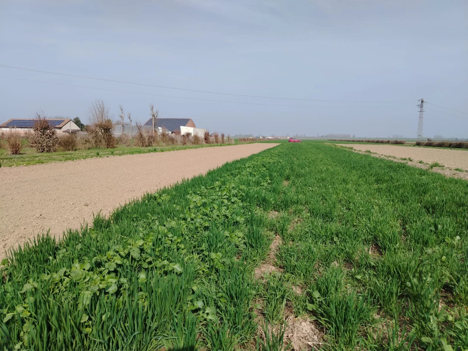 WhatsApp Image 2026-03-27 at 11.35.33.jpeg