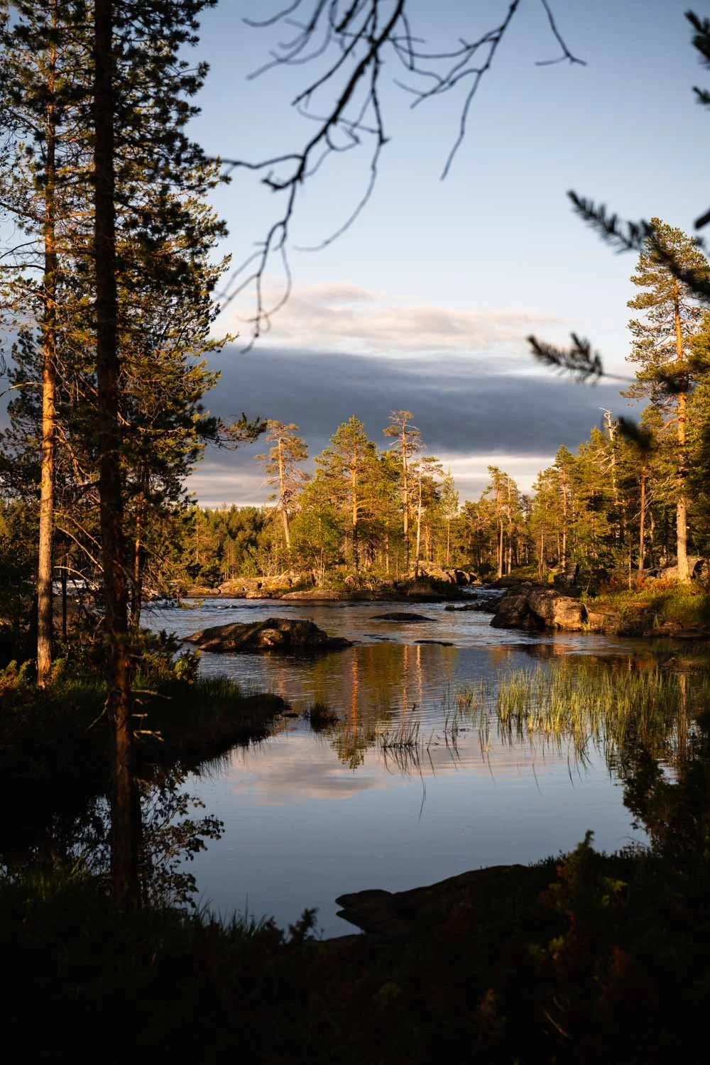 Fotokurs Lappland
