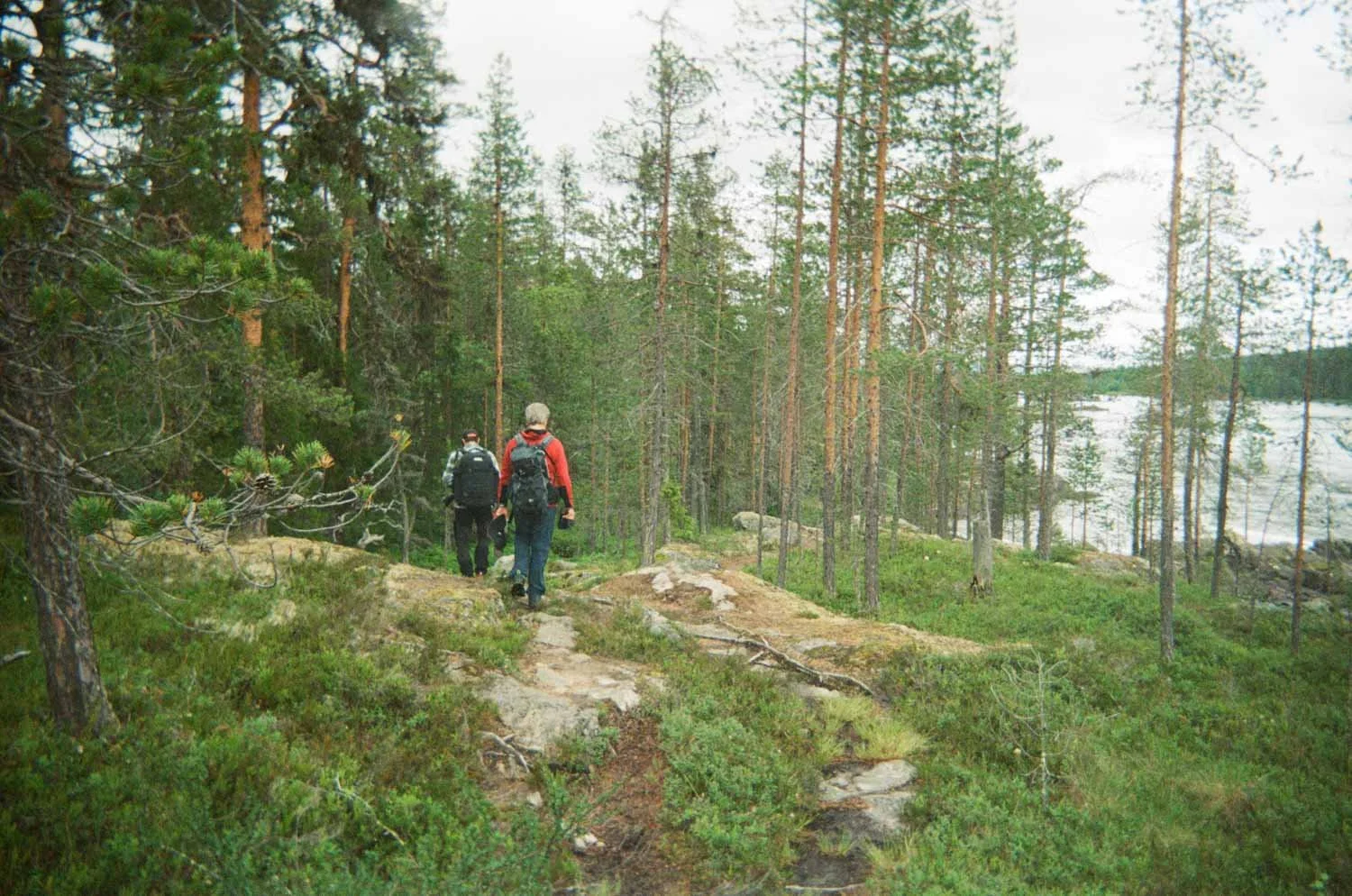 Wandern