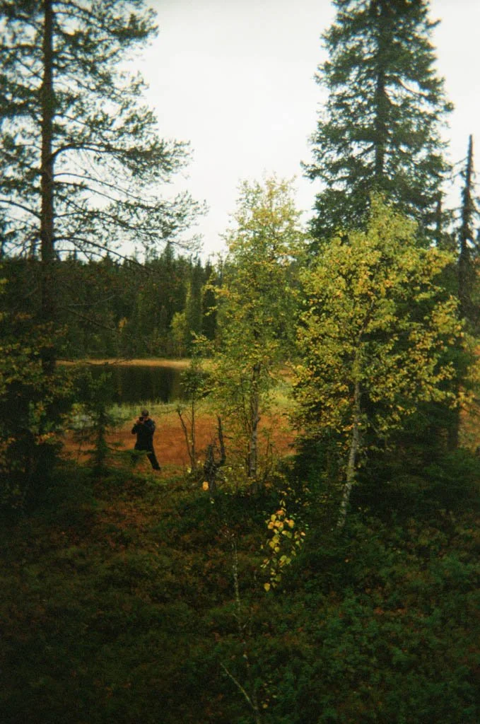 Fotokurs im Herbst Wald