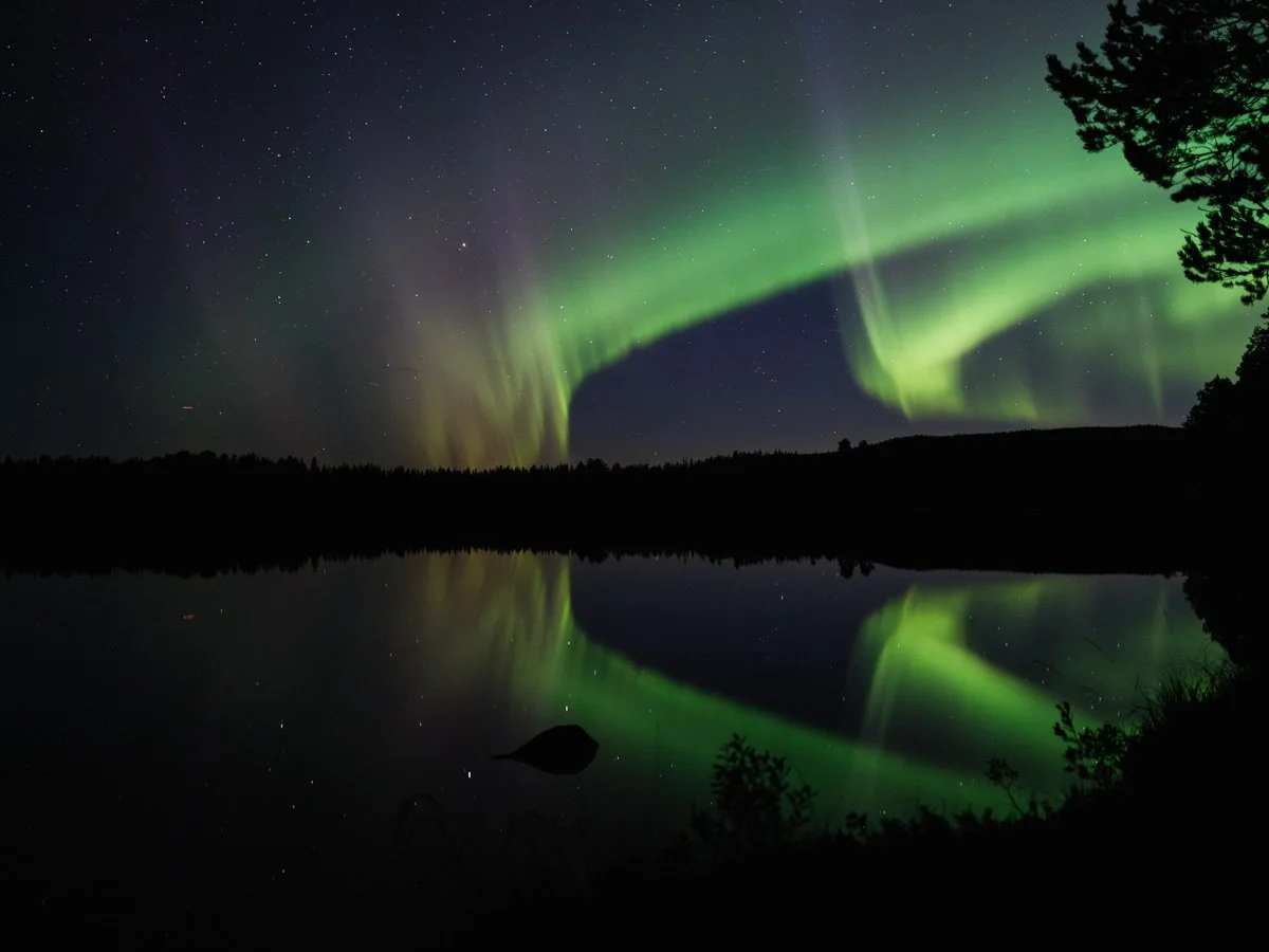 Nordlichter - auch Aurora Borealis genannt - sieht man in Lappland in den dunklen Jahreszeiten sehr oft.