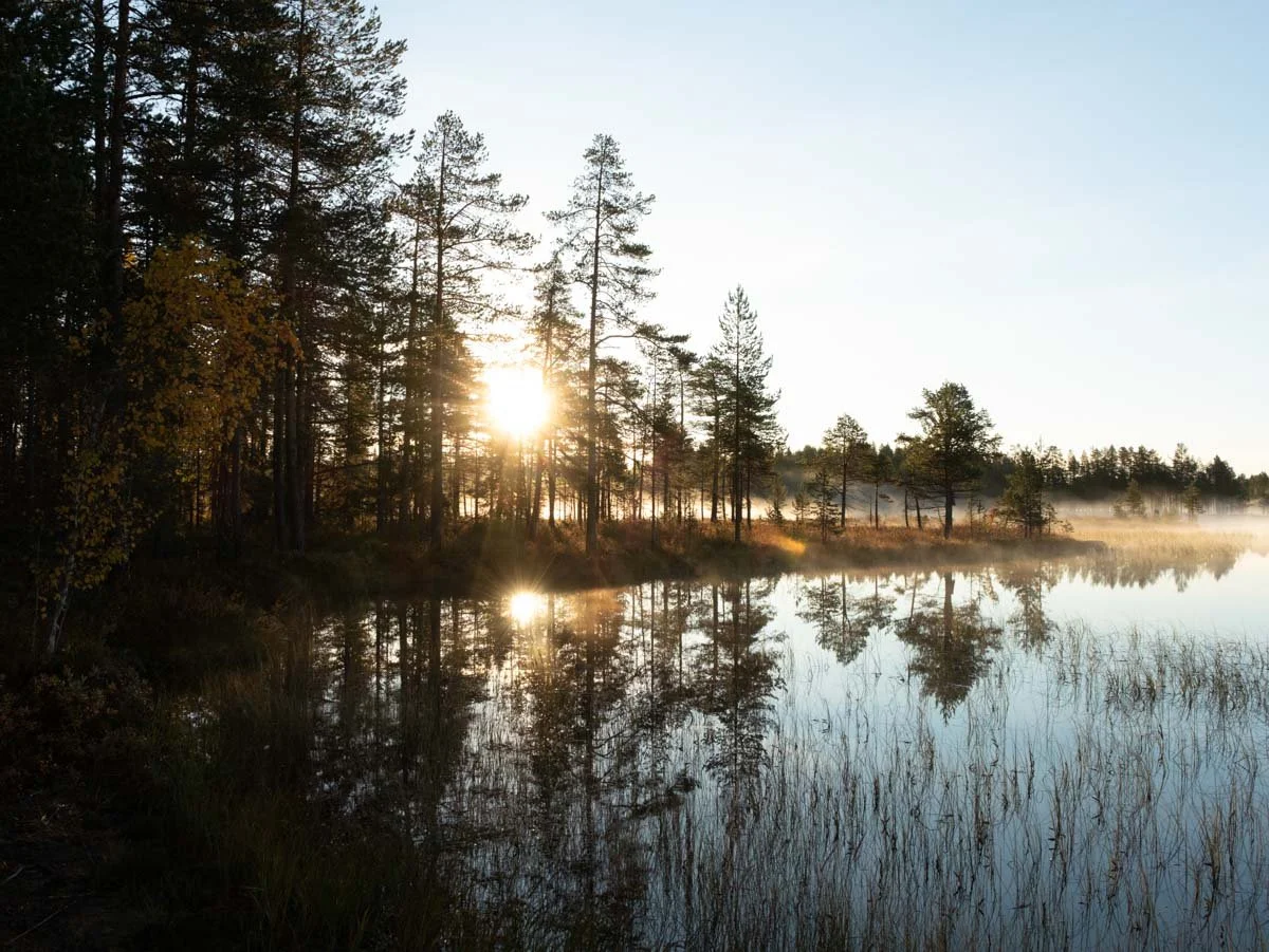 Morgenstimmung Lappland