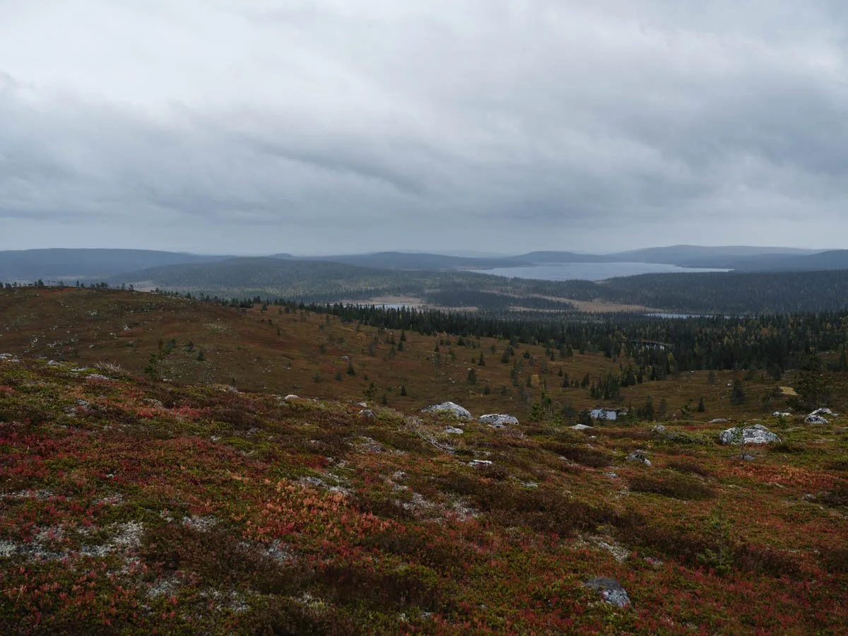 Vittjåkk