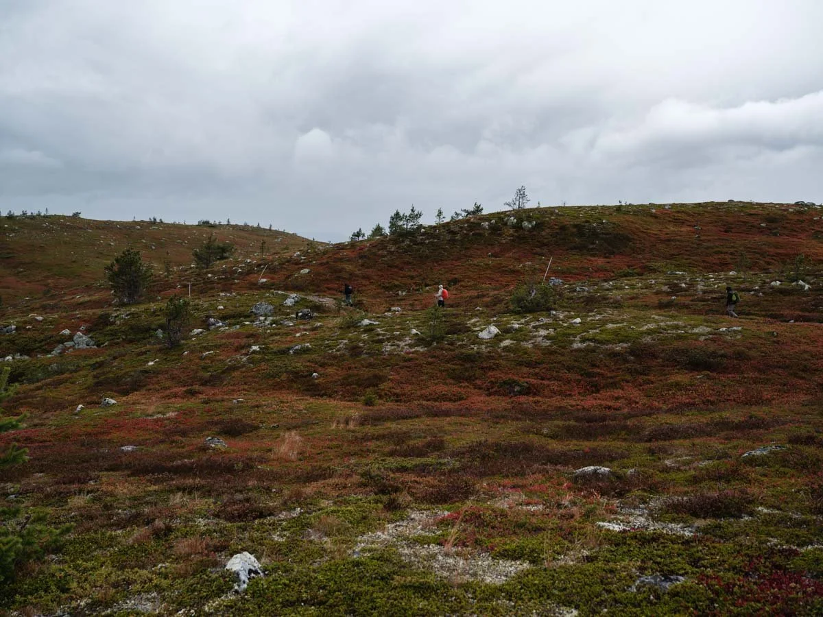 Wandern am Vittjåkk