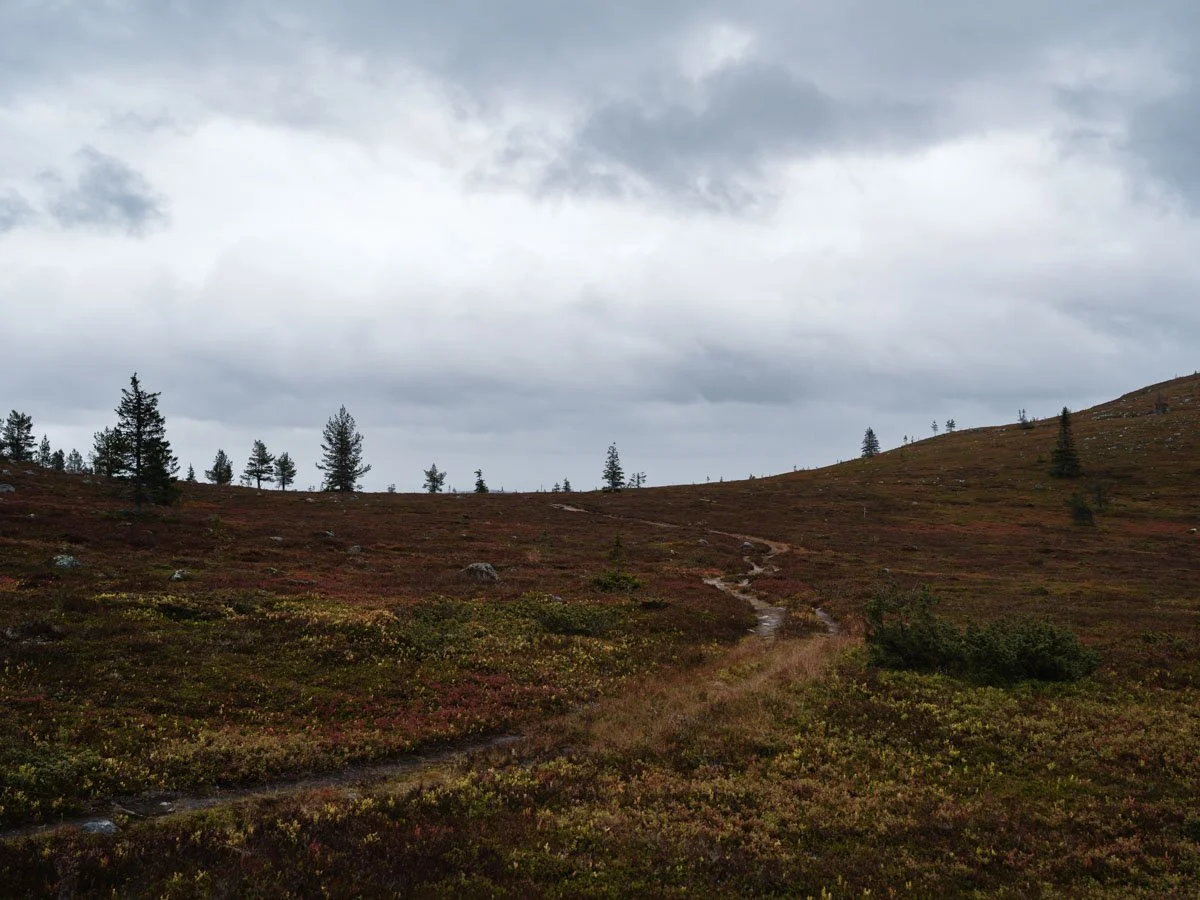 Wanderwege Vittjåkk