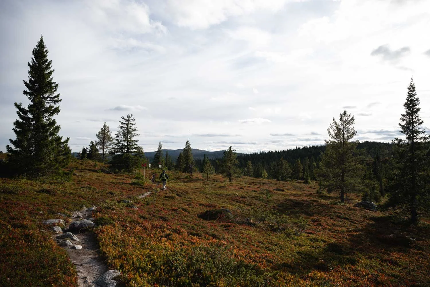 Wanderroute Vittjåkk - Akkanålke