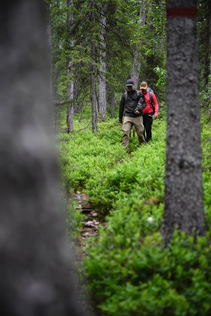 Wander im Fjäll