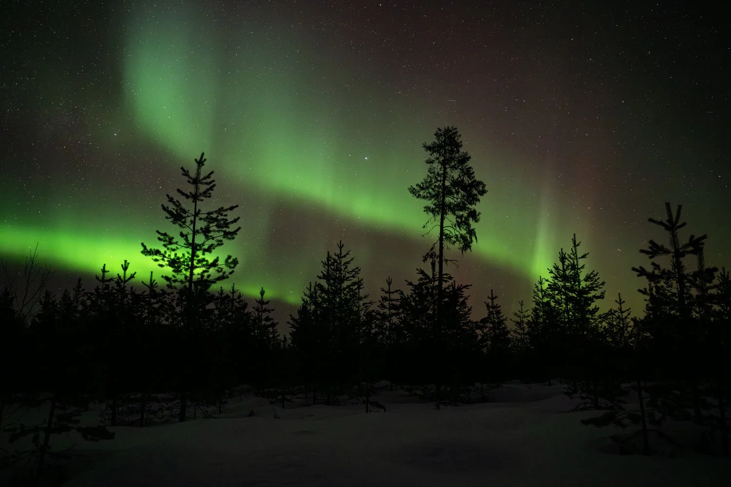 Aurora Borealis - Nordlichter in Lappland