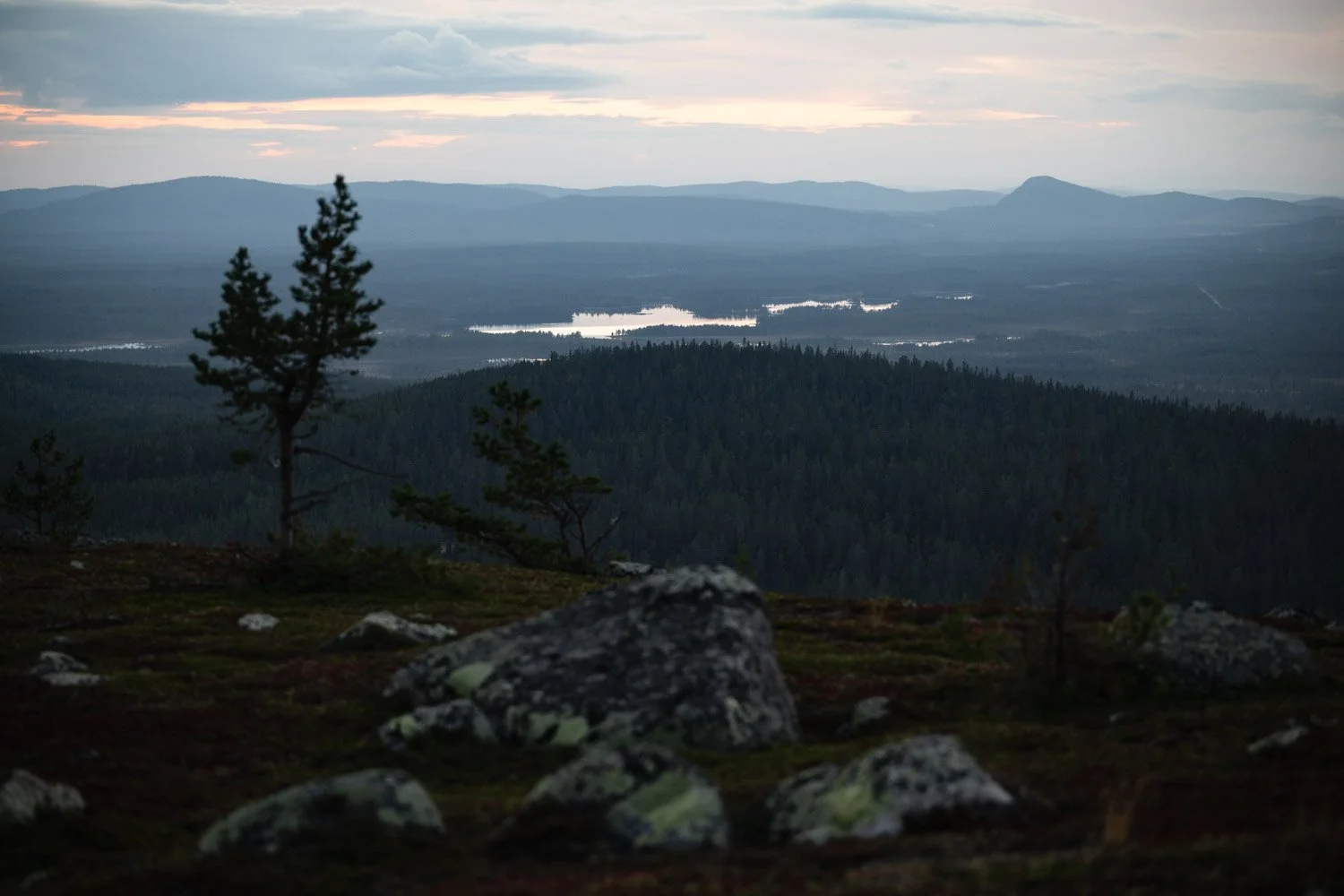 Wälder und Seen in Schwedisch Lappland