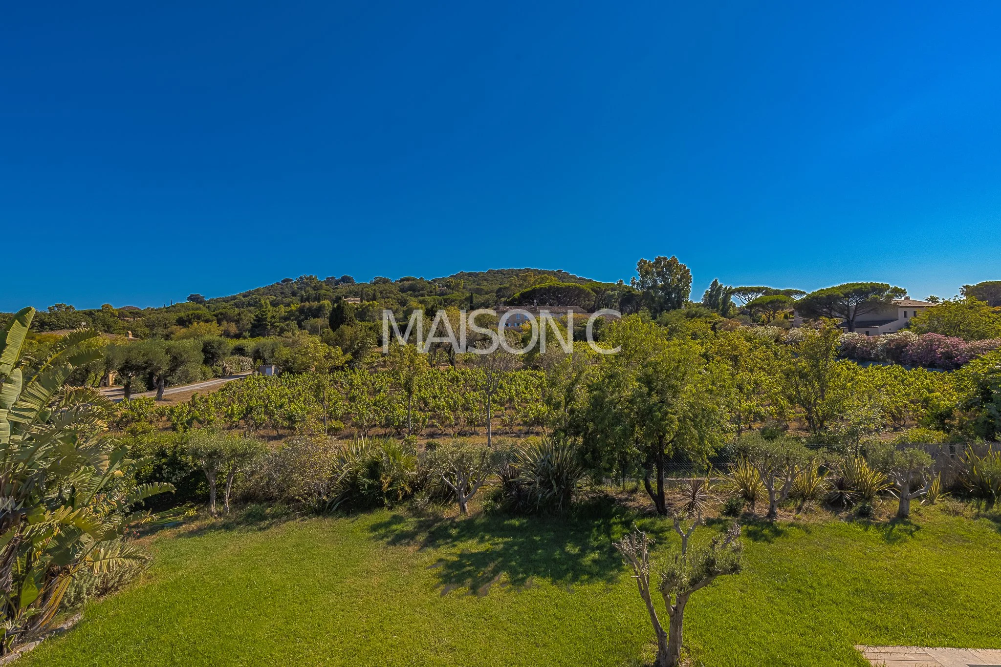 Paysage verdoyant avec arbres, buissons et une petite pelouse sous un ciel bleu clair.