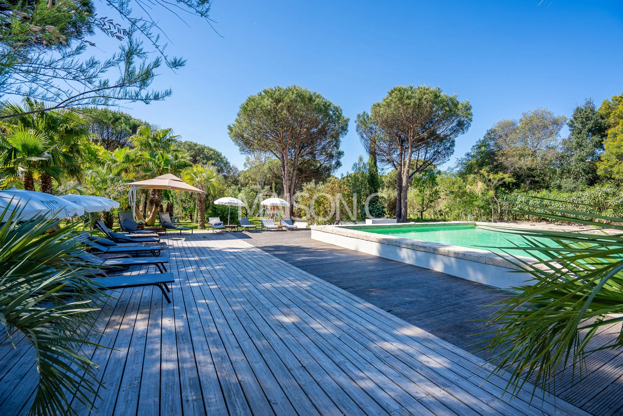 Piscine extérieure entourée de parasols et de chaises longues sur une terrasse en bois, avec des arbres verts en arrière-plan