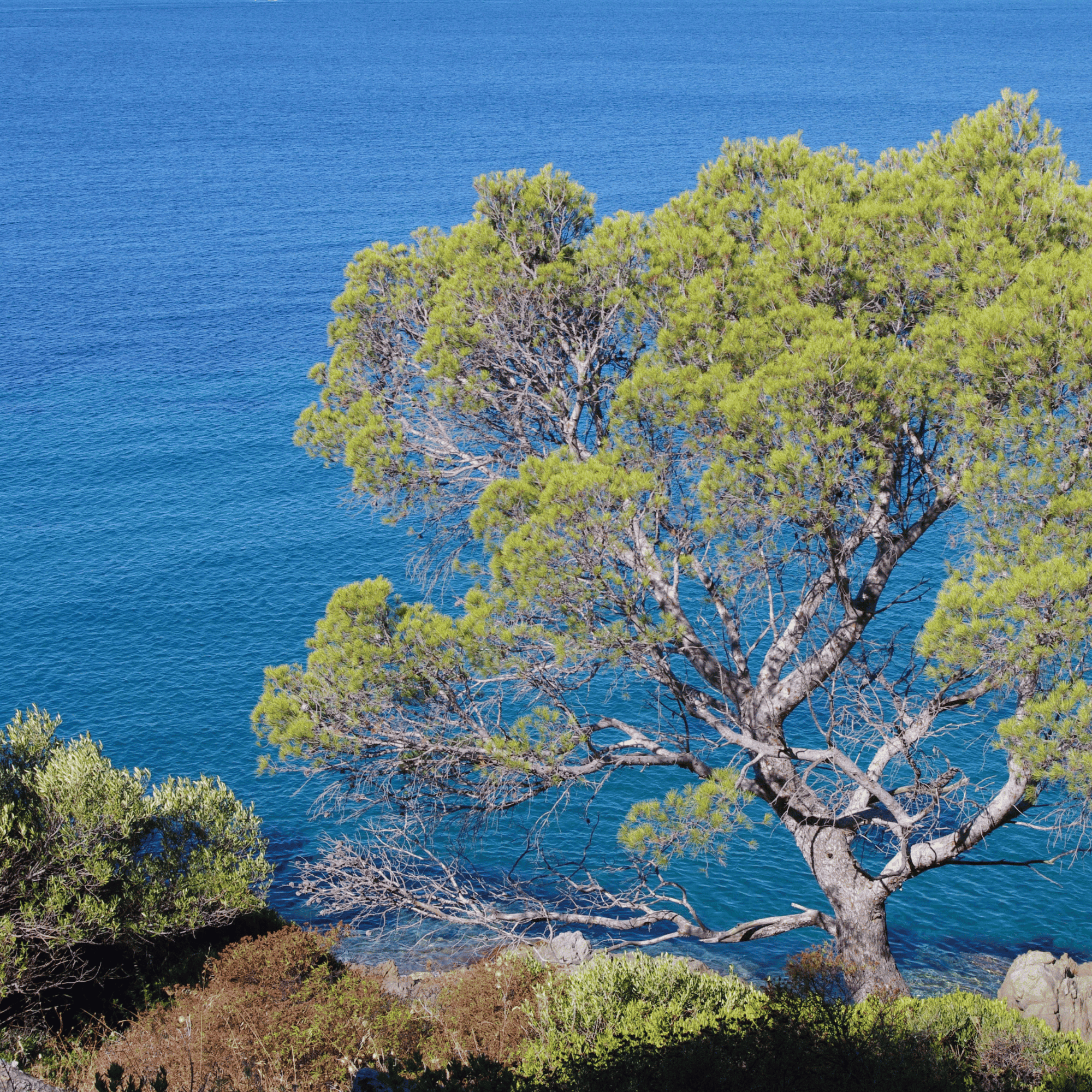 Plage de Gigaro à La Croix-Valmer