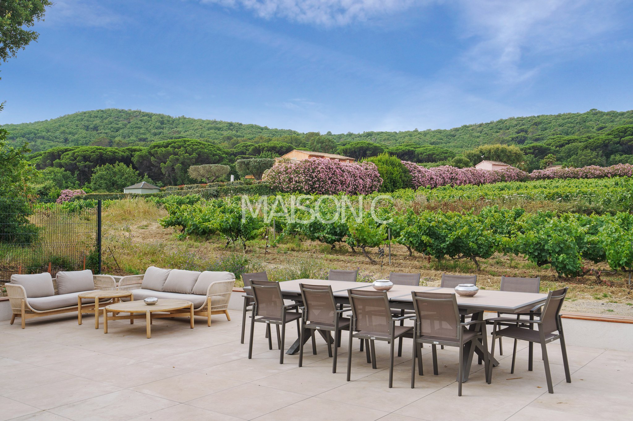 Terrasse avec canapés et table extérieure, vue sur un vignoble et une colline verte avec des arbres en arrière-plan, ciel bleu avec quelques nuages.