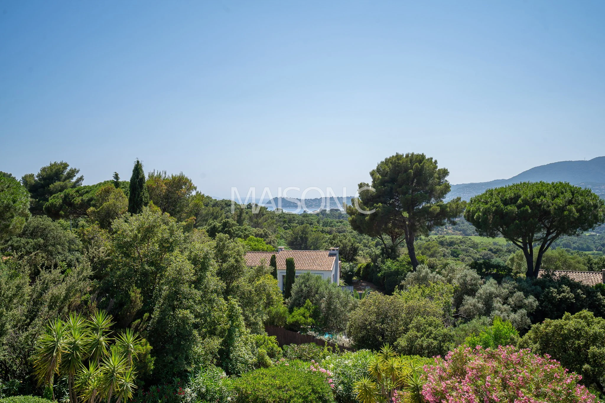 Paysage naturel avec de nombreux arbres, y compris des pin trees, en arrière-plan une maison avec un toit en tuiles, et des montagnes sous un ciel clair