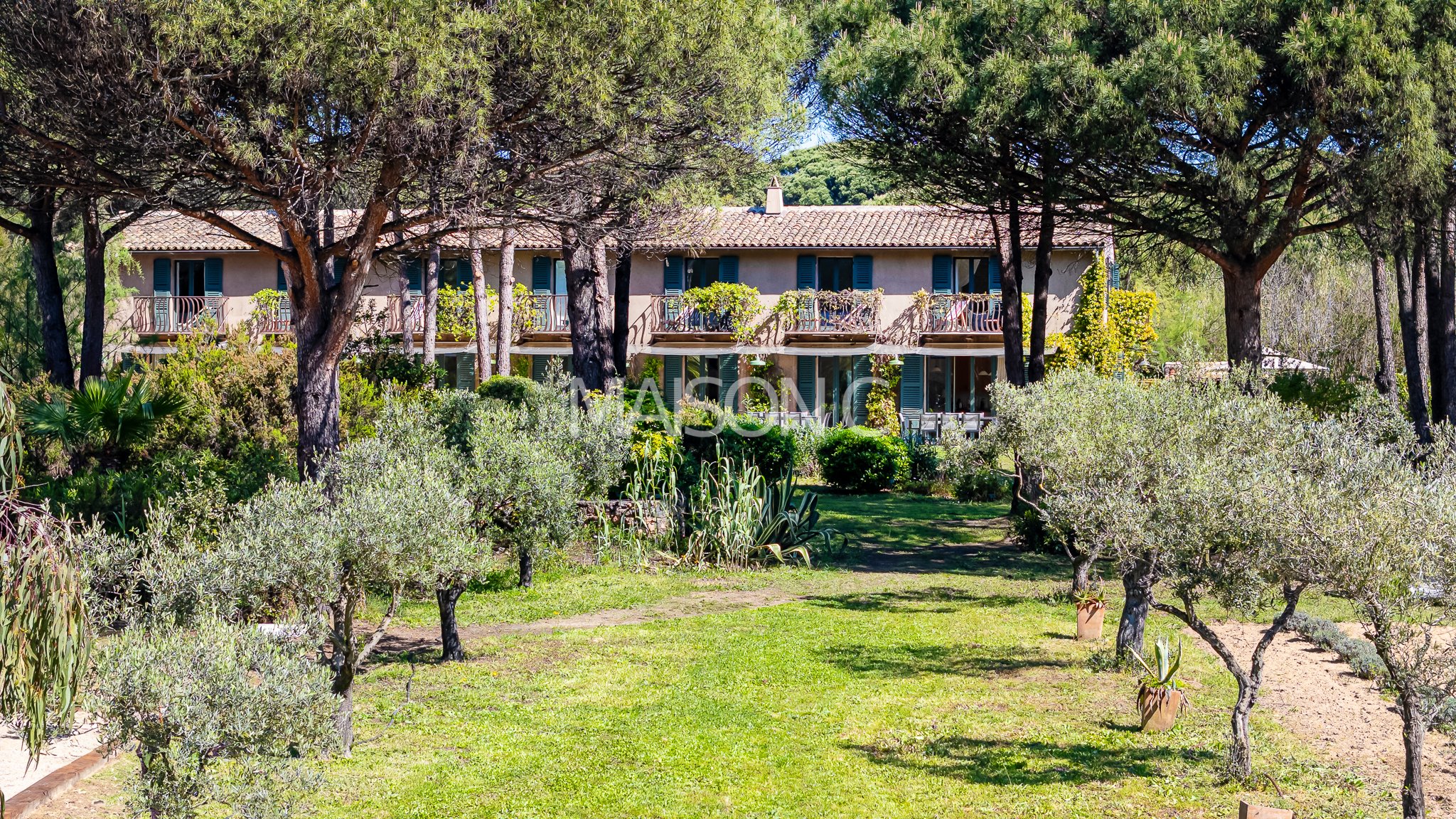 Une maison entourée de plusieurs arbres et de plantes dans un jardin verdoyant, avec un accès en gazon menant à la maison.