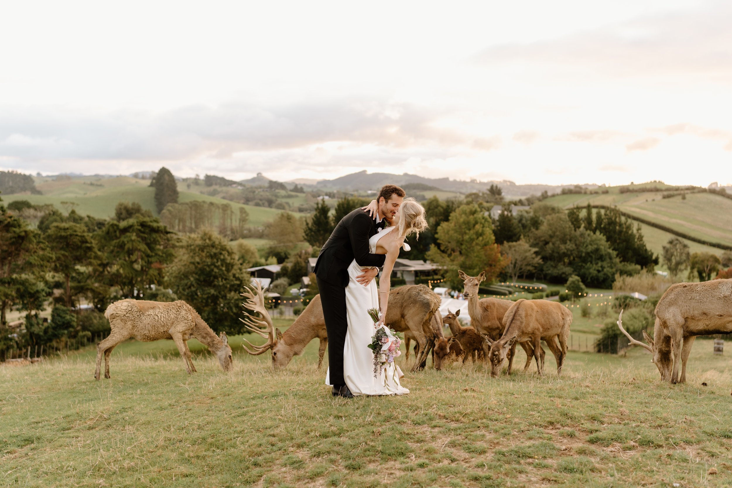 Rebecca+Din_Deer-Valley-Wedding-Auckland-Photographer55.jpg