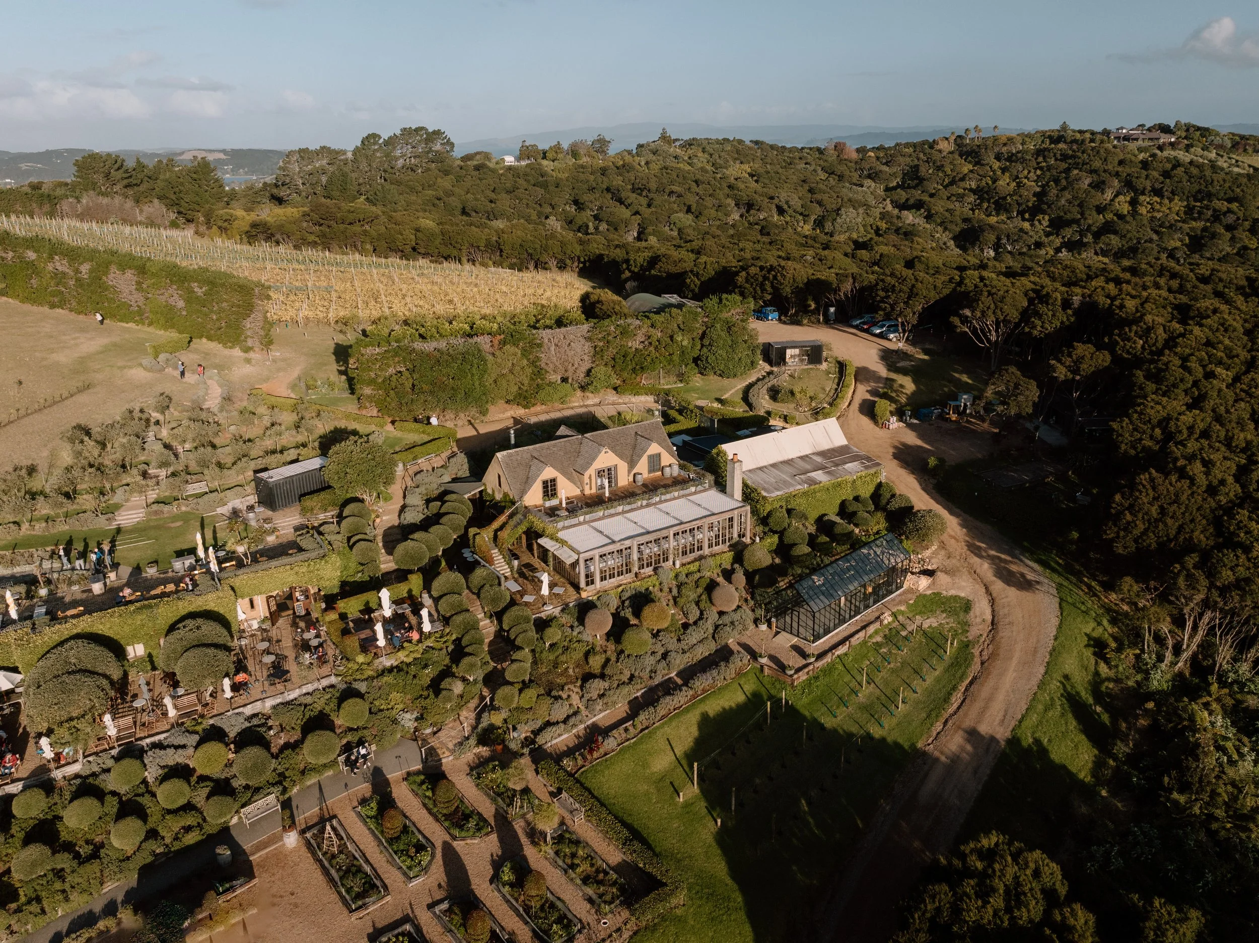 Mudbrick-Vineyard-Waiheke-Wedding-Auckland-Hailey-and-Hirofumi55.jpg
