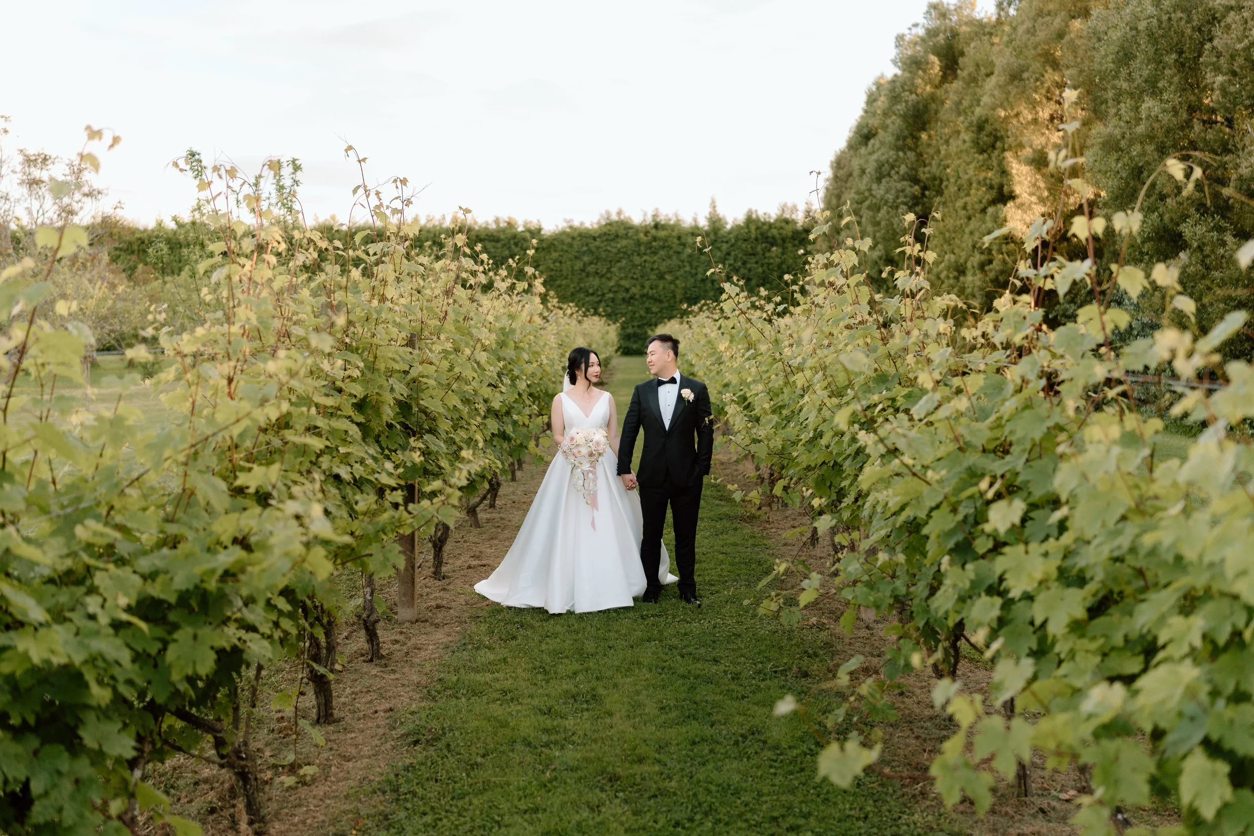 Markovina Vineyard Estate Auckland Wedding Venue