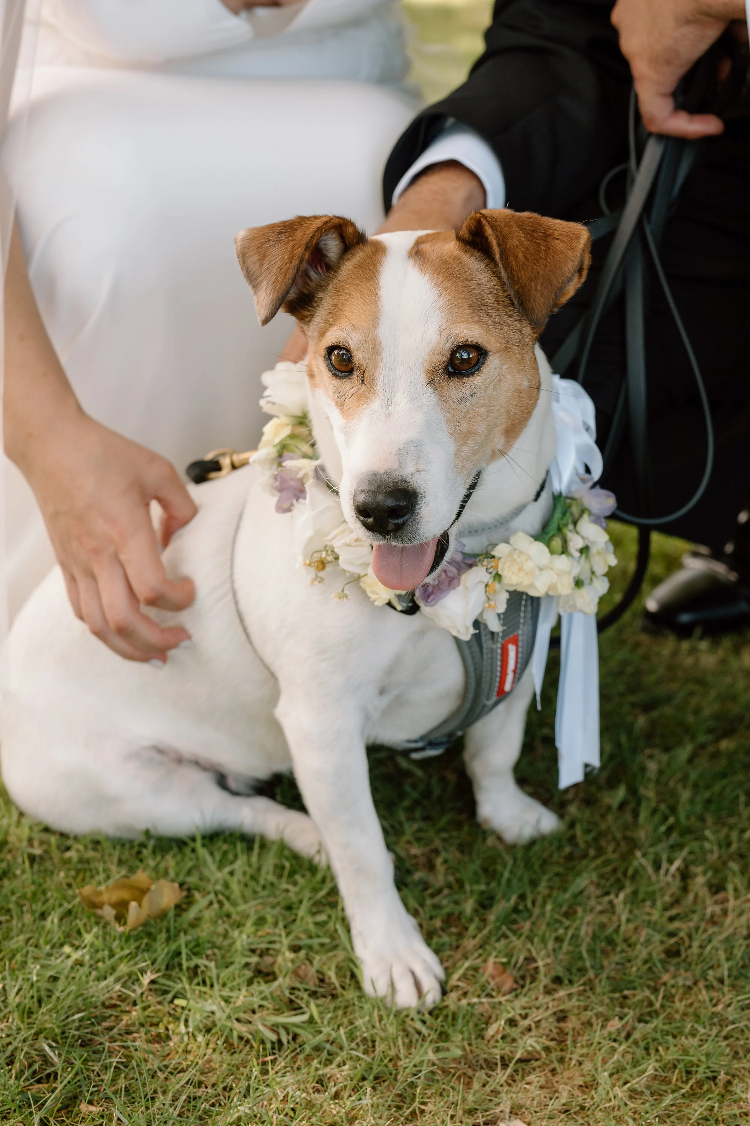 Paula Mark-Man-O-War-Waiheke-Wedding46.jpg