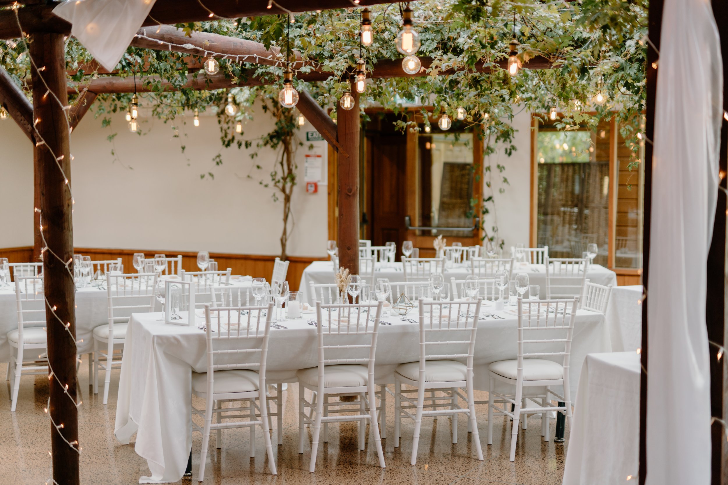 Markovina-Vineyard-Estate-Wedding-Auckland-Jess-Harri25.jpg