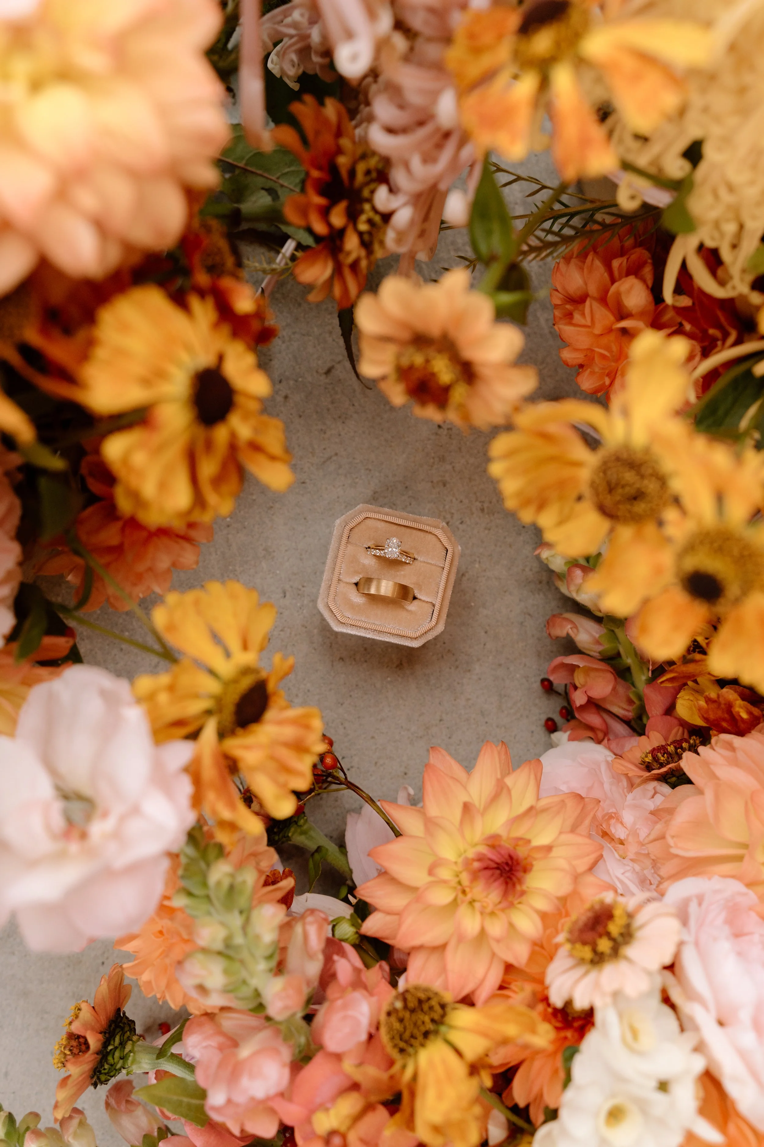 Vanderosa-Farms-Auckland-Wedding-Venue-Sam&Caity23.jpg