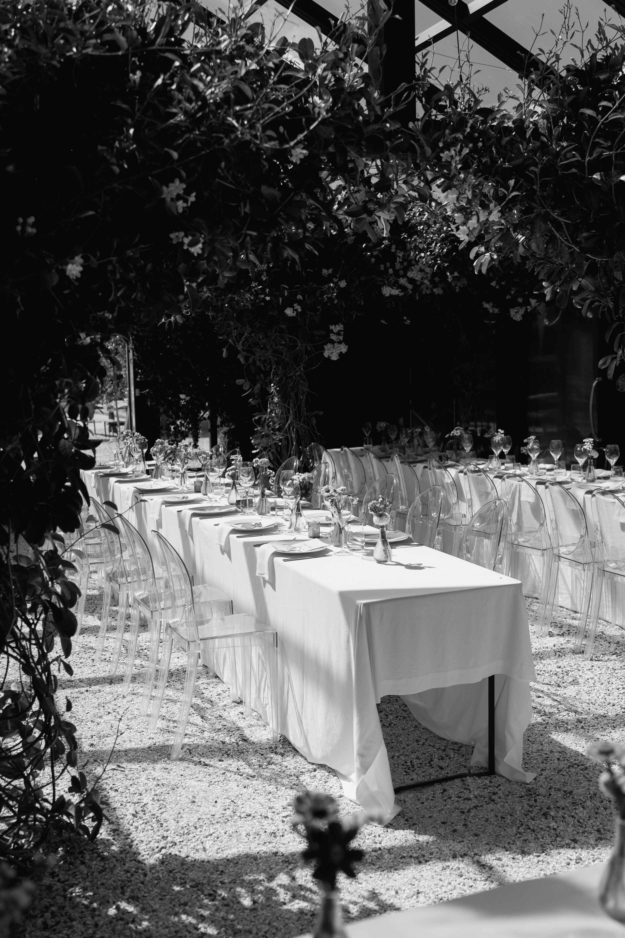 black-walnut-wedding-venue-tauranga-chloe-and-will44.jpg