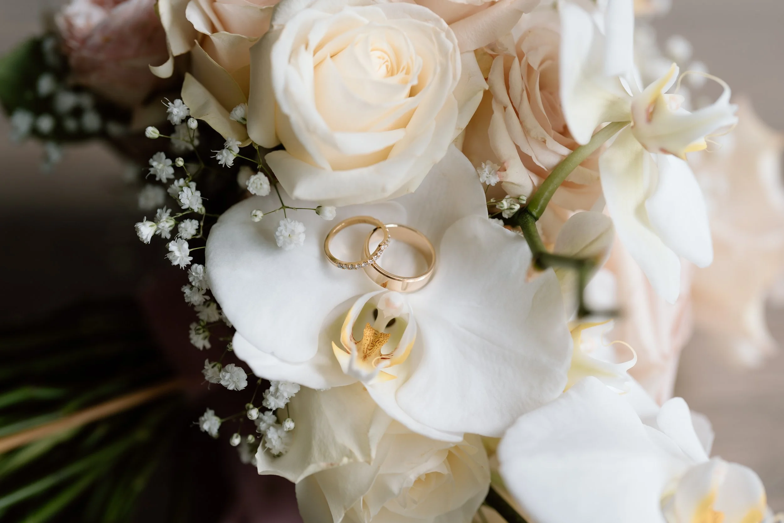 PAK+LILY_Markovina-Vineyard-Estate-Wedding-Photographer34.jpg