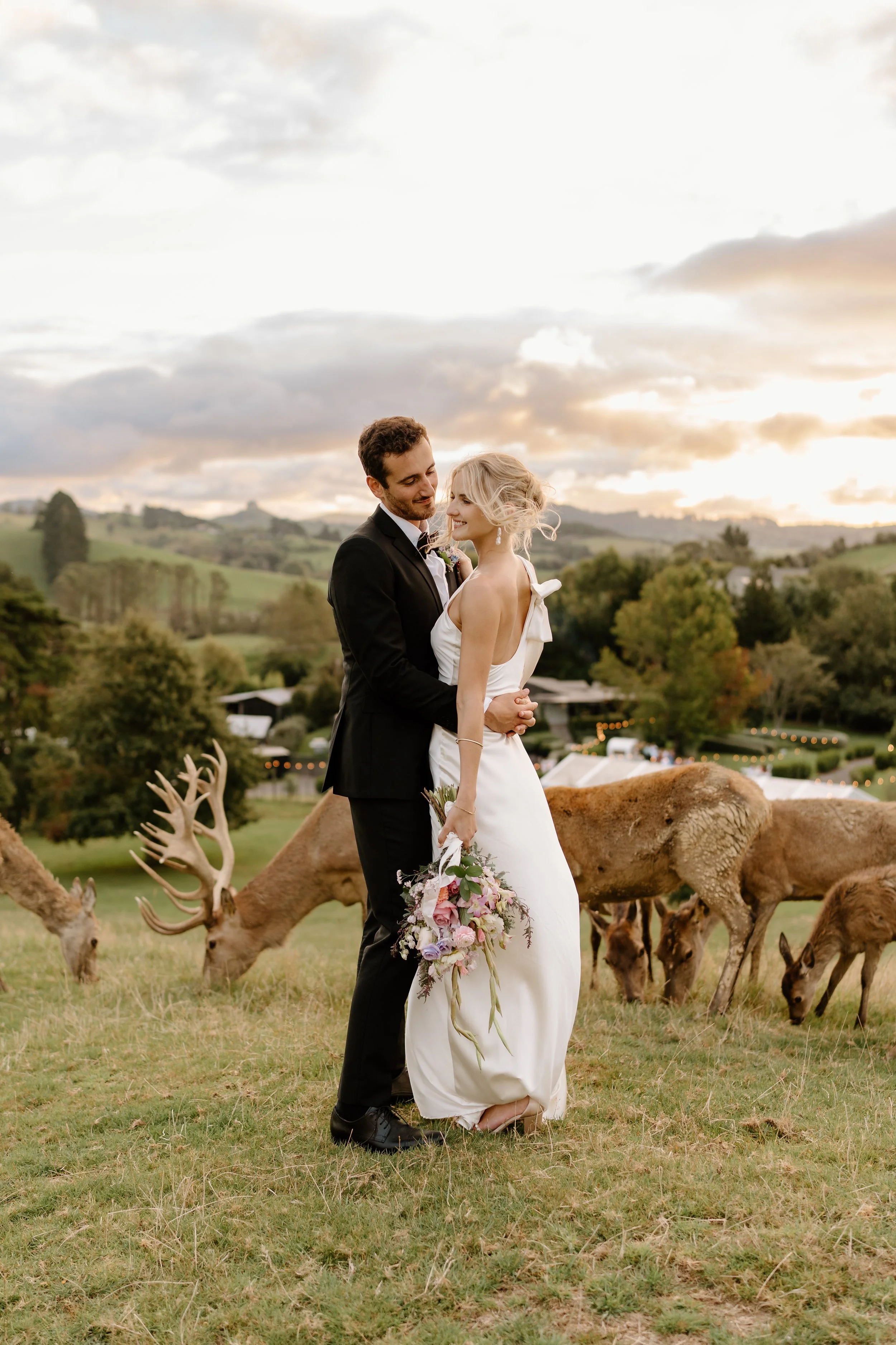 A bride and groom embrace outdoors on a grassy field with elk and deer grazing nearby, during sunset with a scenic landscape behind them.