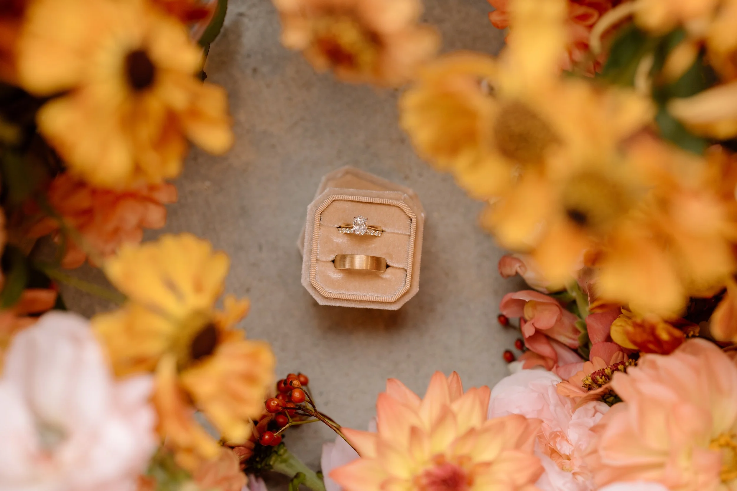 Vanderosa-Farms-Auckland-Wedding-Venue-Sam&Caity22.jpg