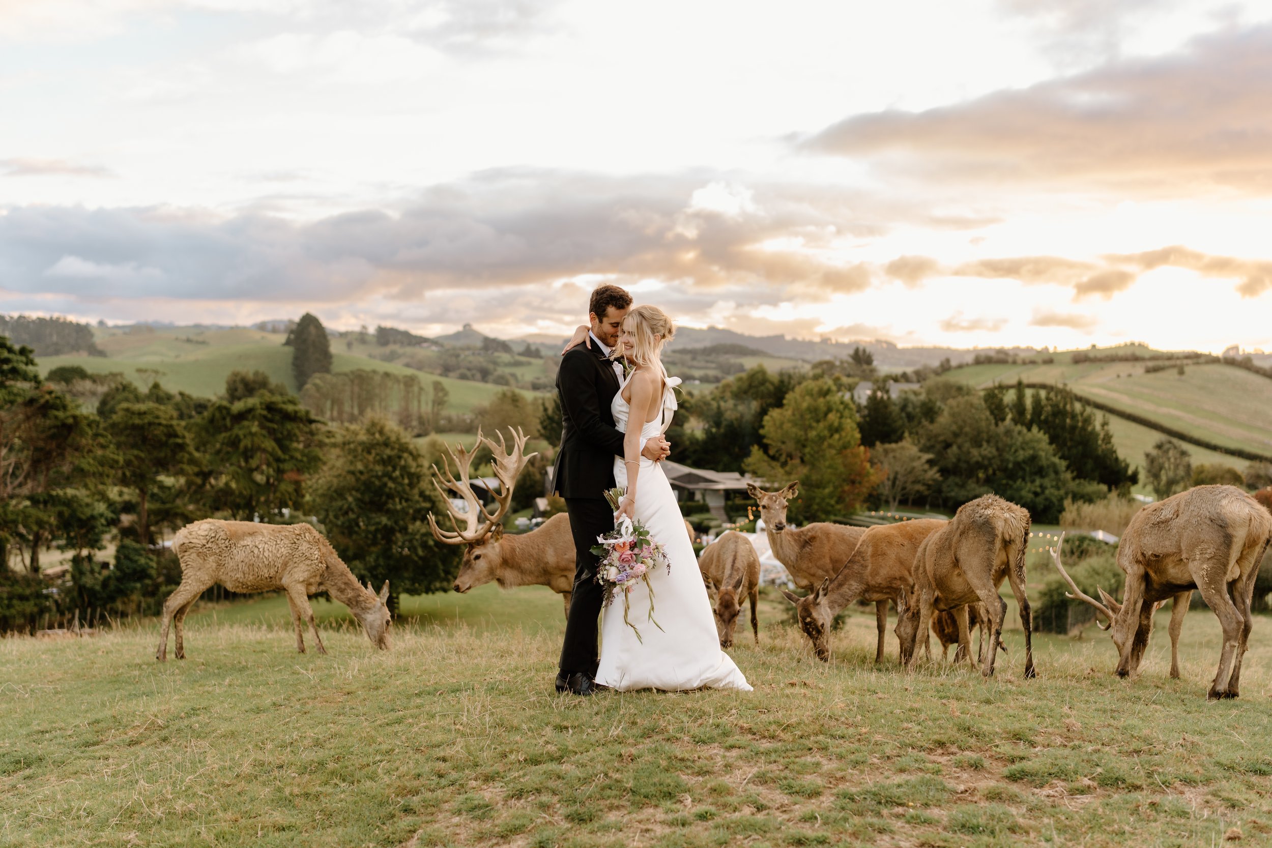 Deer Valley Auckland Wedding Venue - Auckland Wedding Photographer