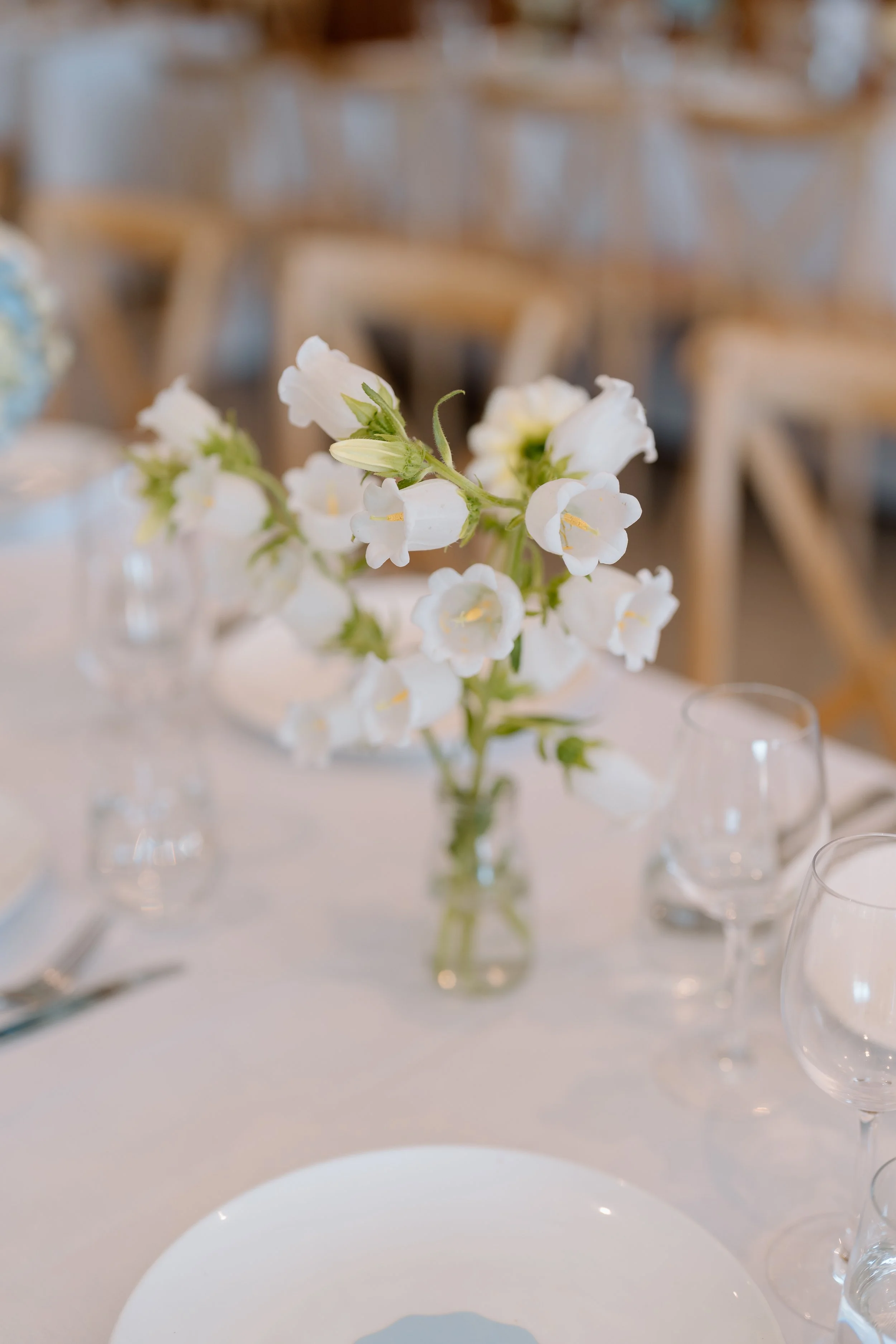 The-Black-Barn-Lake-Tarawera-Wedding-Venue-Rotorua-Jess-David76.jpg