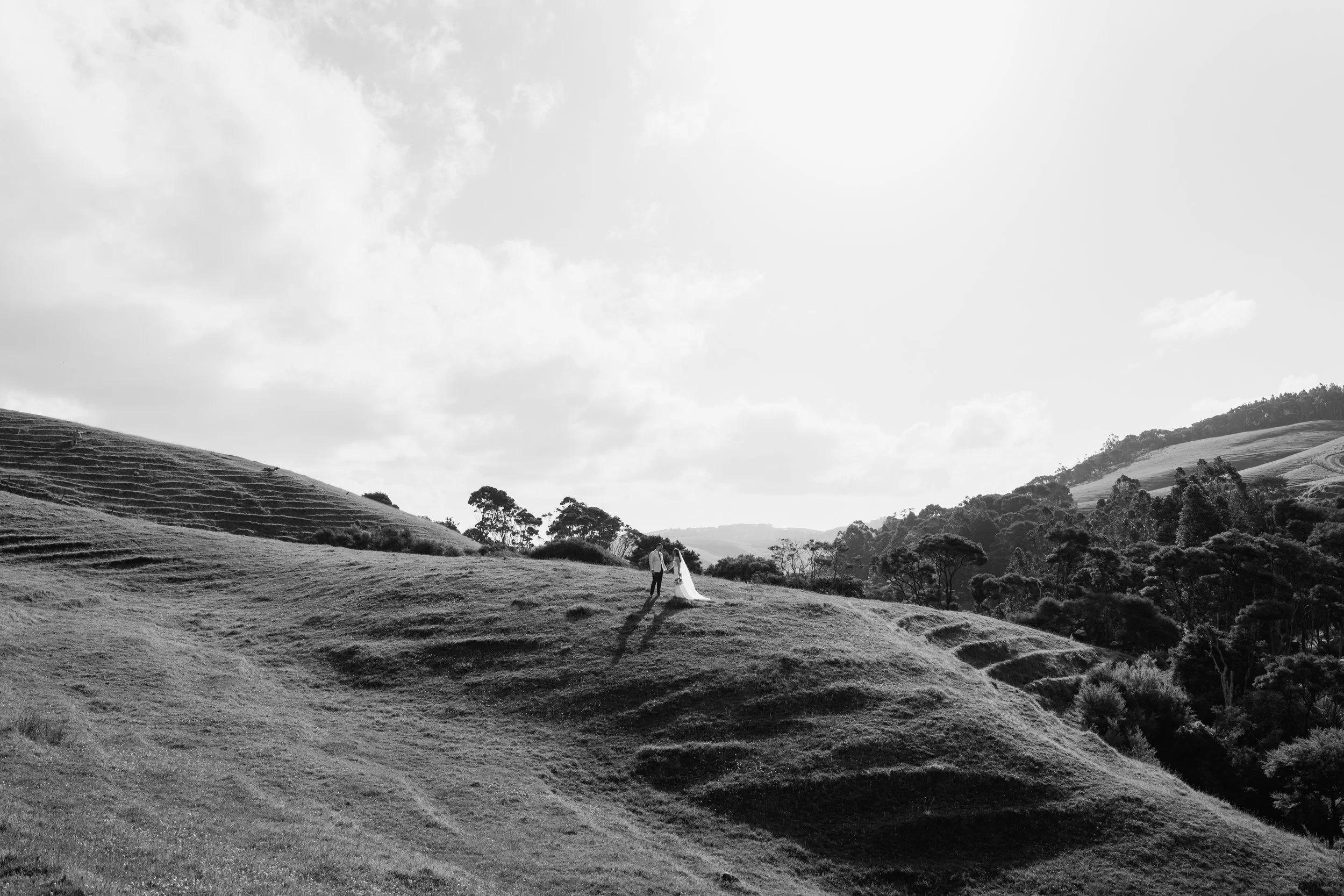 A black-and-white photo of a couple holding hands on a grassy hillside with a backdrop of trees and hills under a cloudy sky.