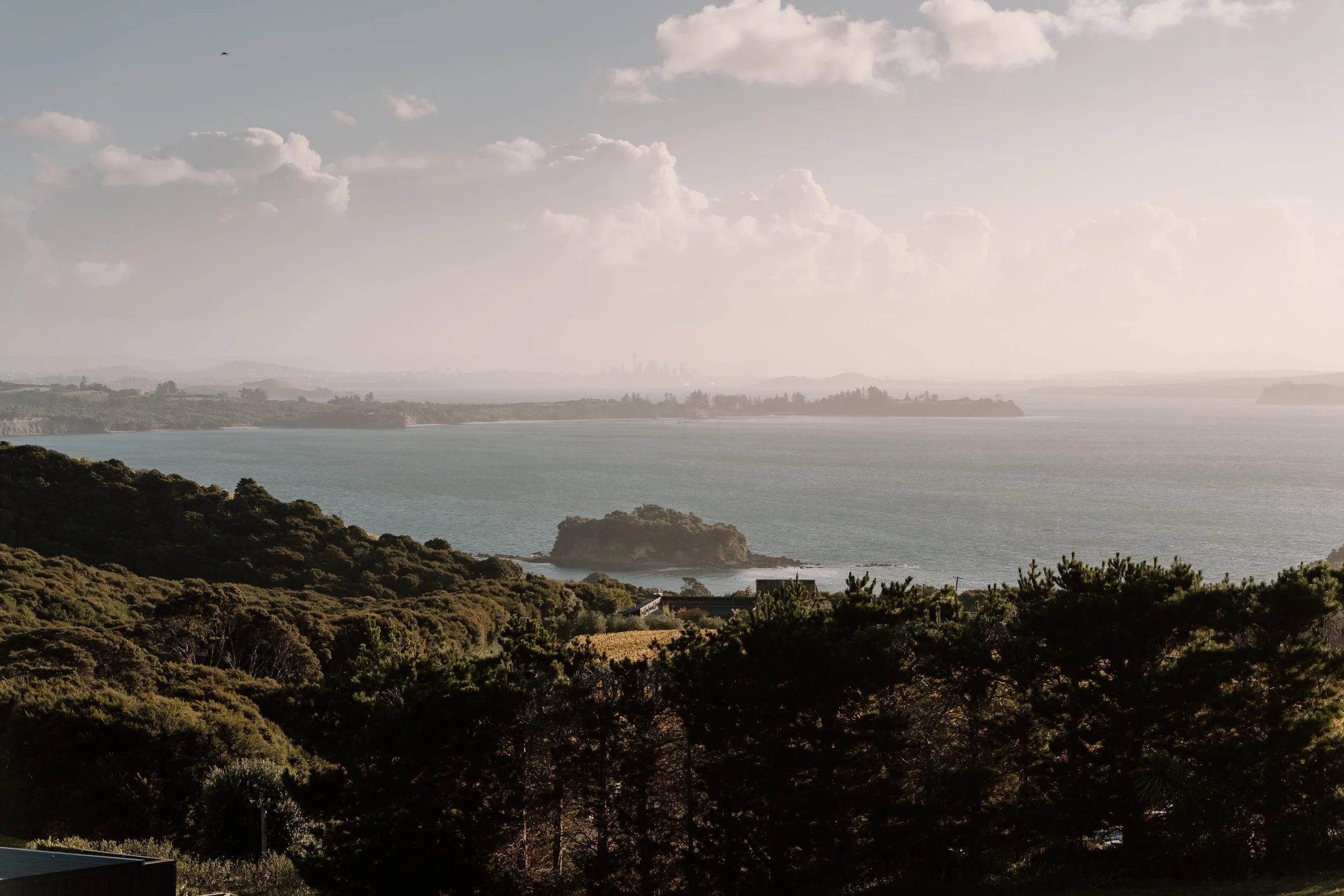 Mudbrick-Vineyard-Waiheke-Wedding-Auckland-Hailey-and-Hirofumi65.jpg