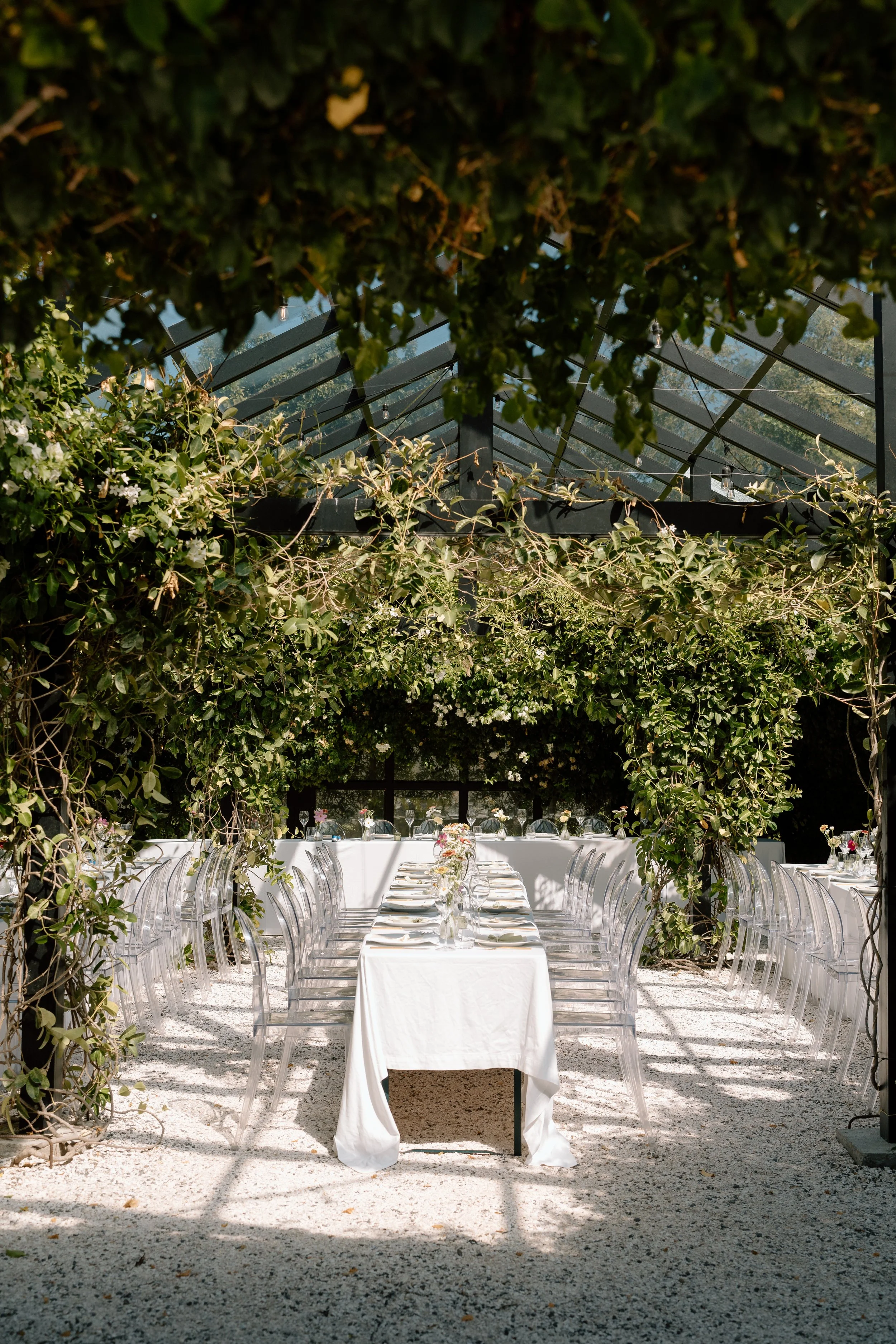 black-walnut-wedding-venue-tauranga-chloe-and-will41.jpg