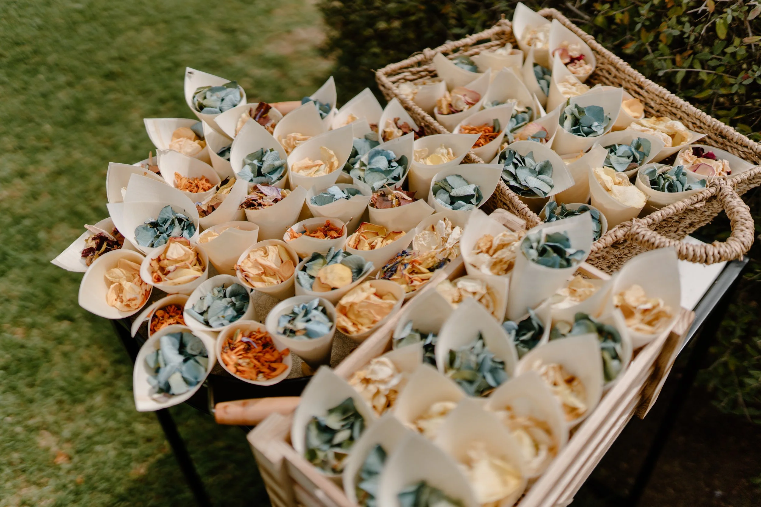 Deer-Valley-Auckland-Wedding-Venue-Shane-taylor26.jpg