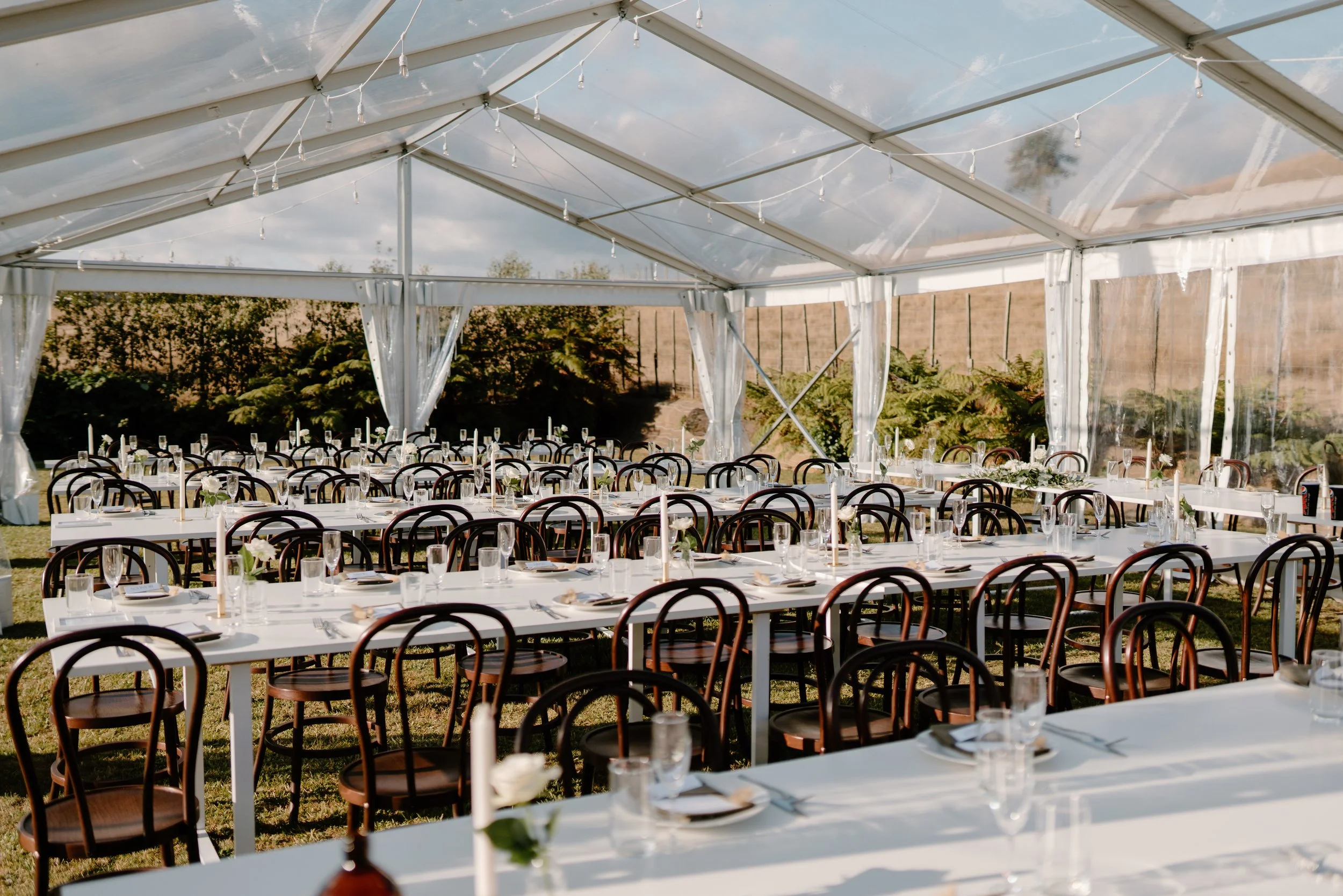 Deer-Valley-Auckland-Wedding-Venue-Shane-taylor59.jpg