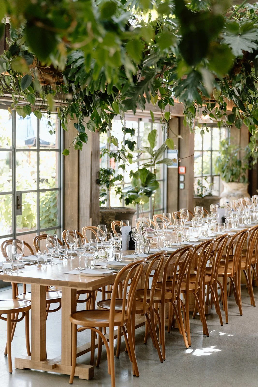 Ayrburn-Queenstown-Wedding-Venue-Mimi-and-Luke29.jpg