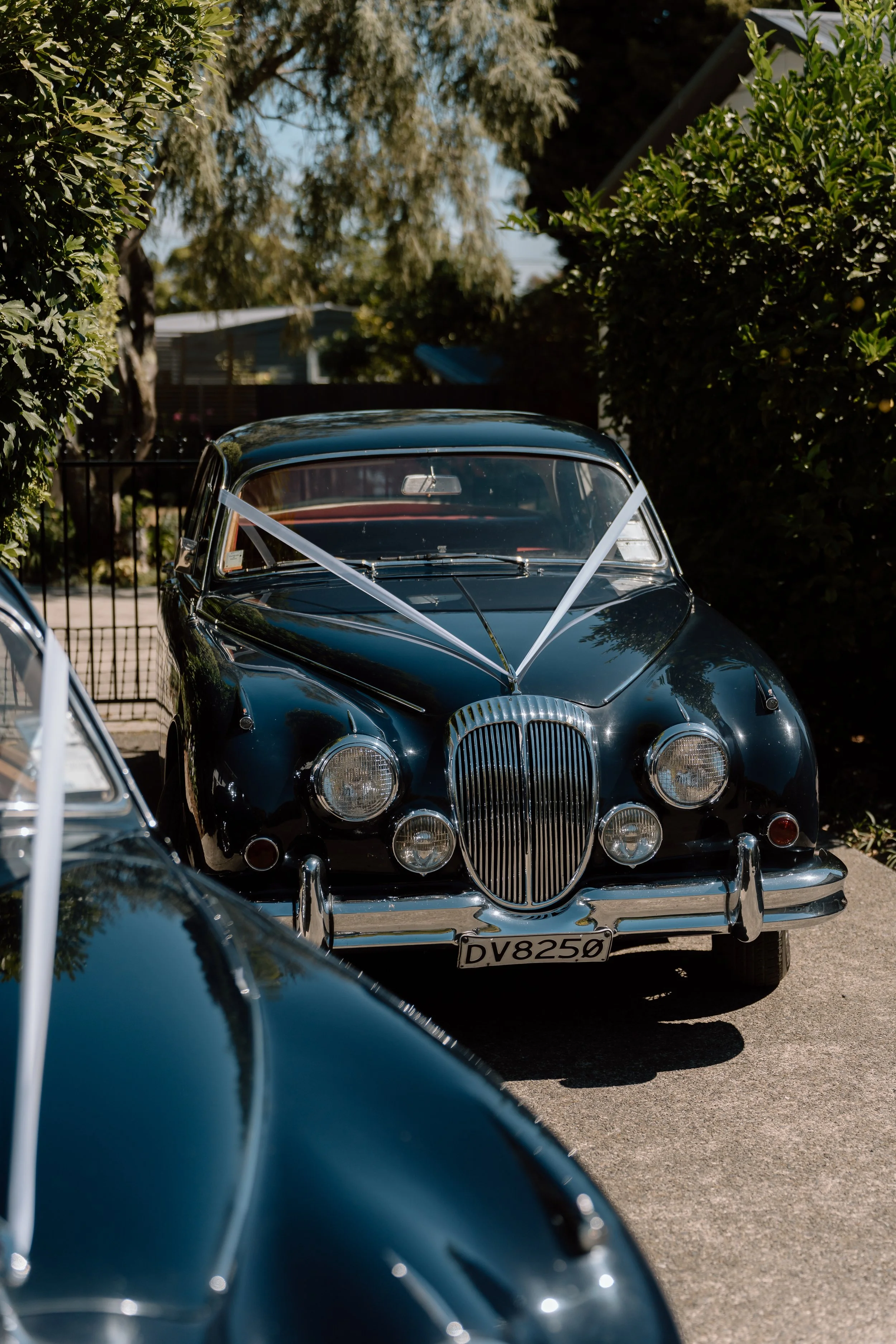 JJ+Jasmine-Wellington-Wedding-Photographer-Rose-&-Smith-Tauherenikau-Racecourse29.jpg