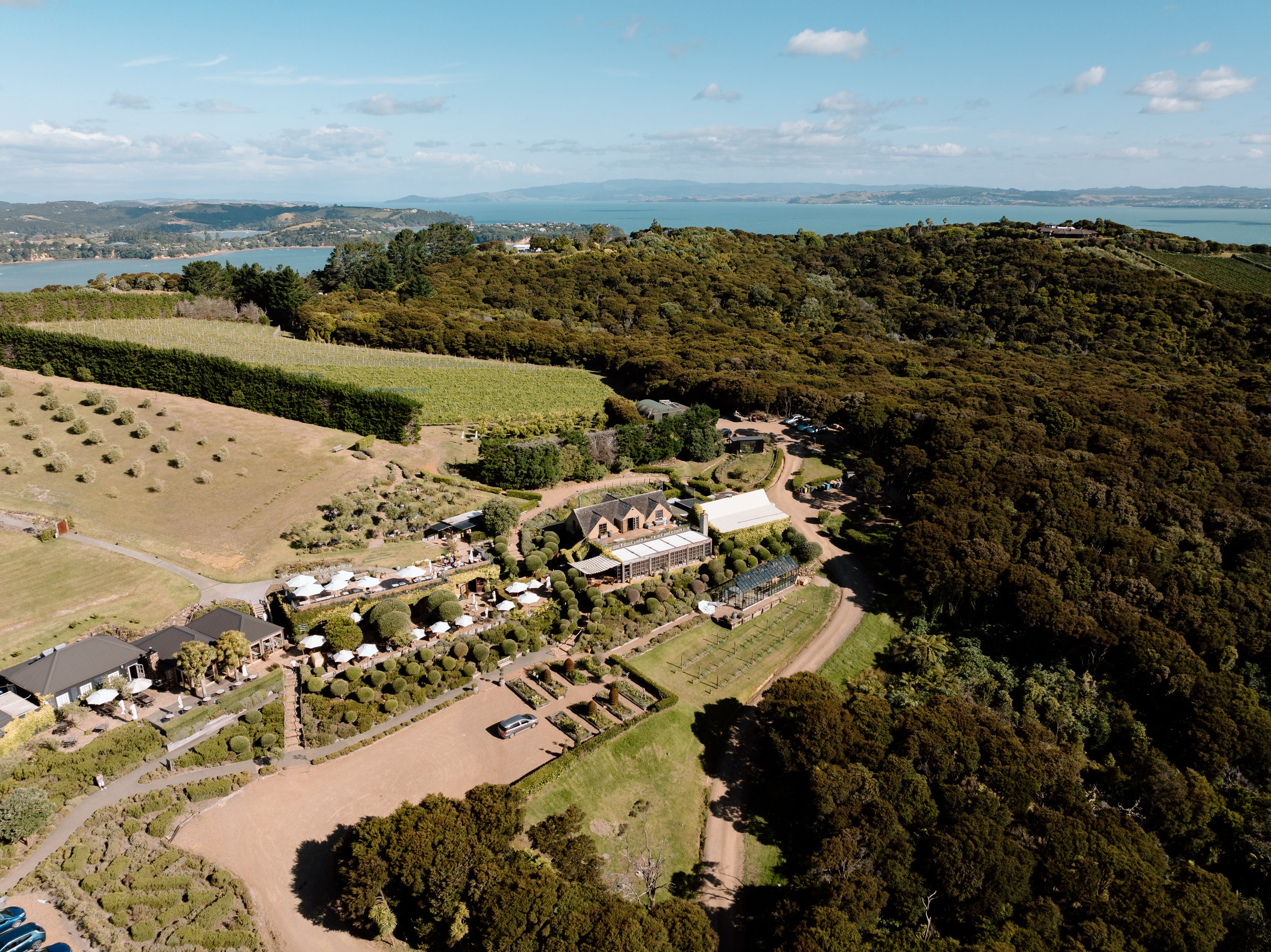 Mudbrick Vineyard Waiheke Island Wedding venue