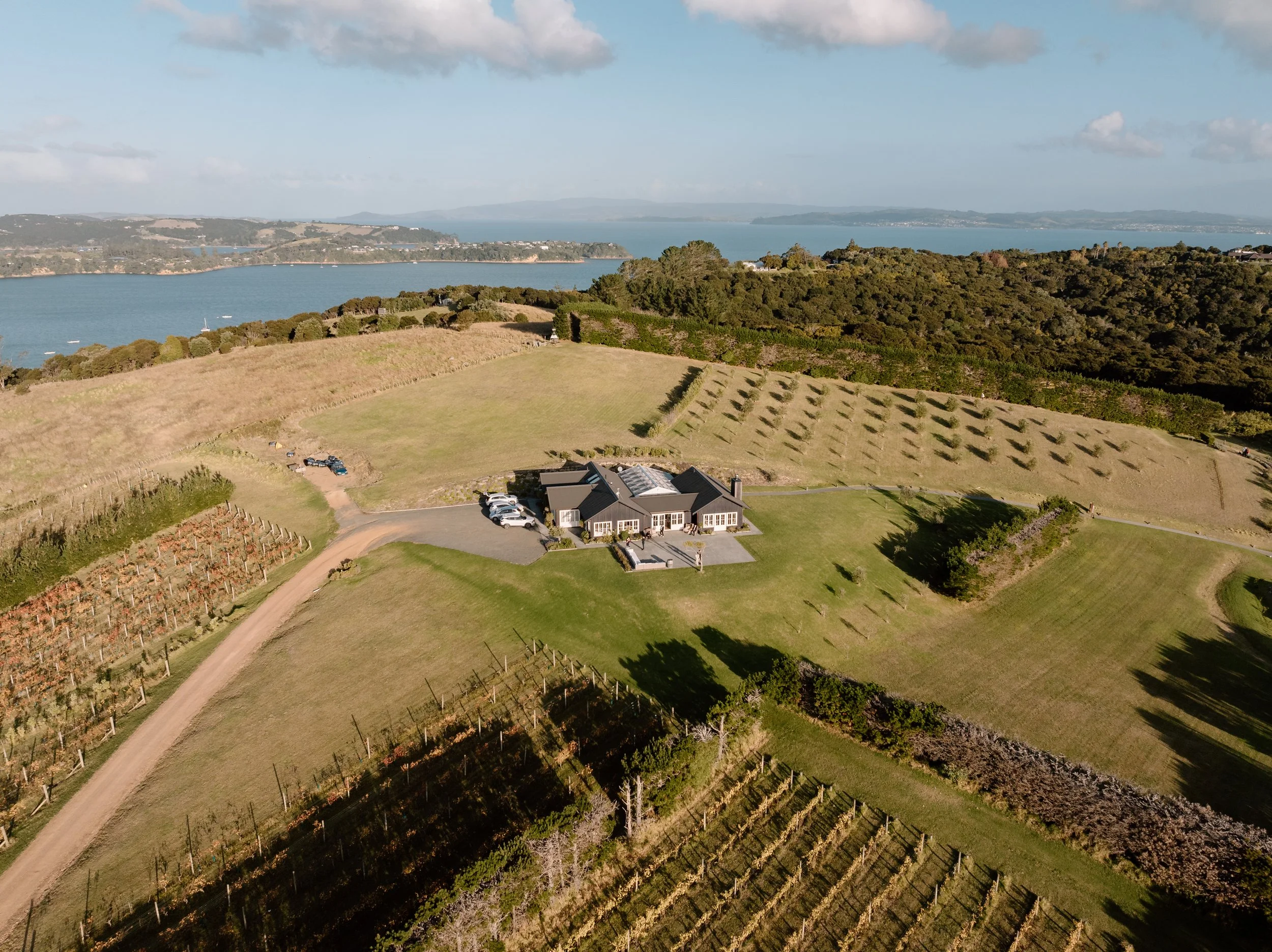 Mudbrick-Vineyard-Waiheke-Wedding-Auckland-Hailey-and-Hirofumi57.jpg