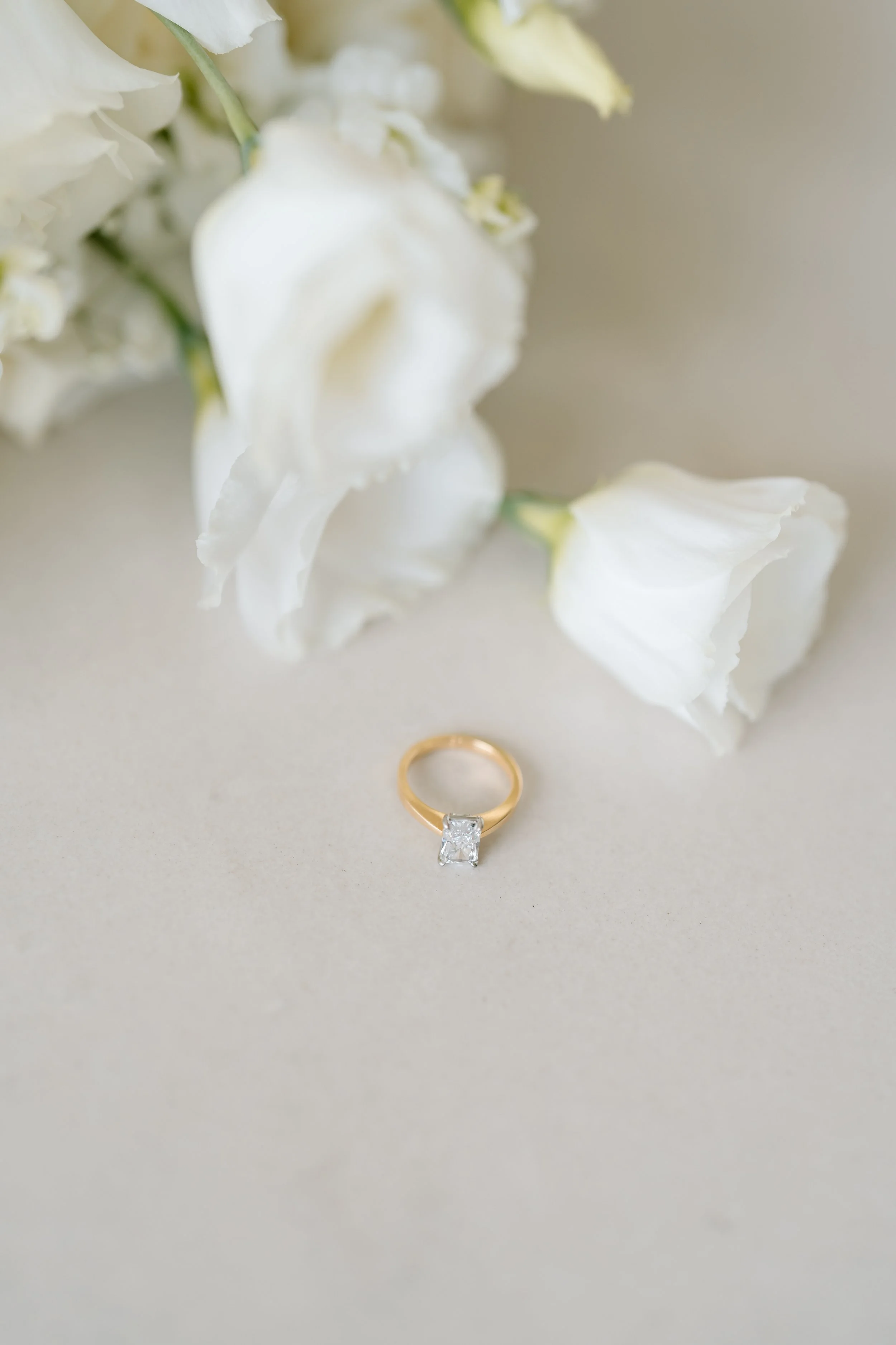 Hannah+Rhys-Turanga-Creek-Auckland-Wedding-Photographer1.jpg