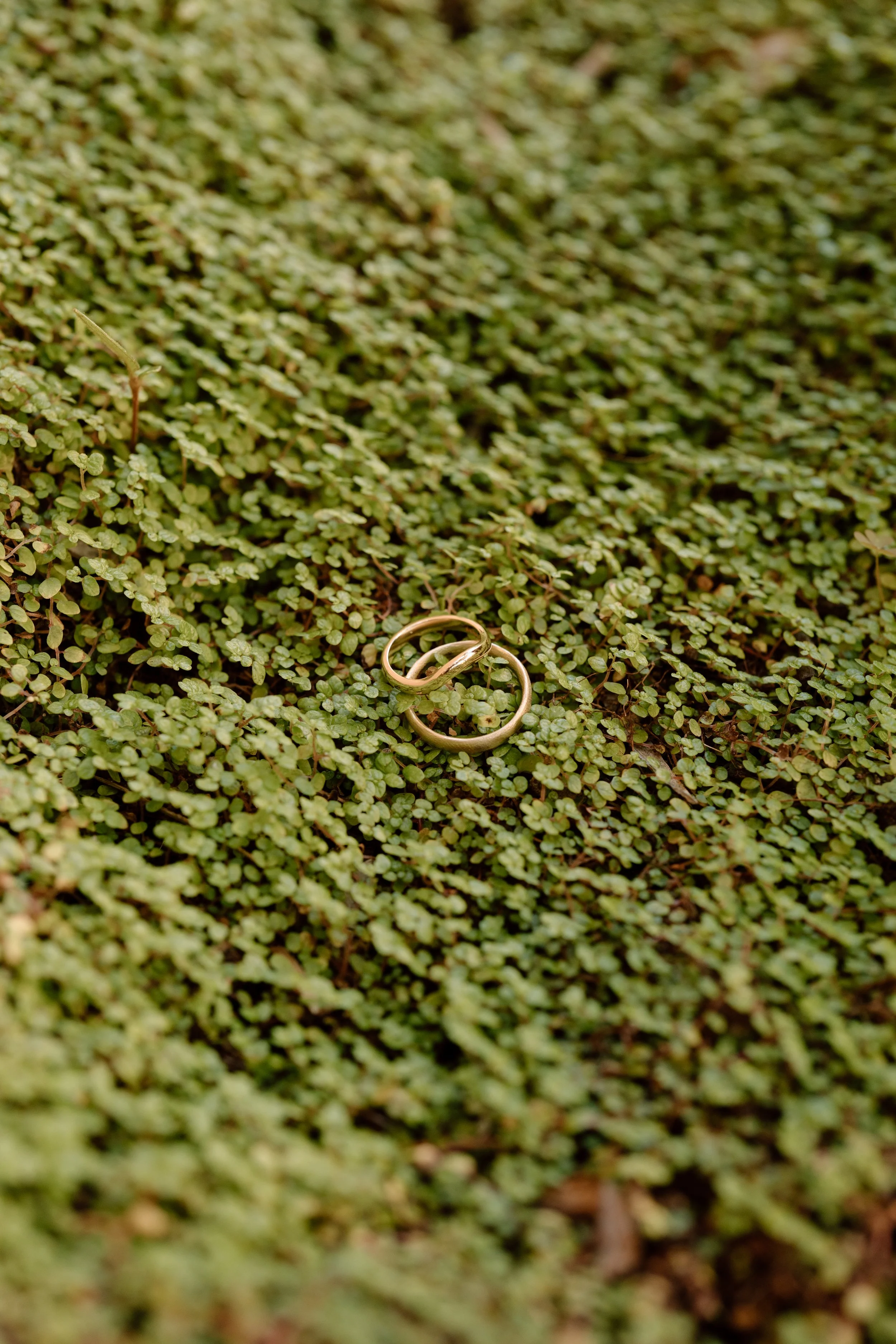 Waterfall-Farm-Auckland-Wedding-Georgia-and-Quinn3.jpg