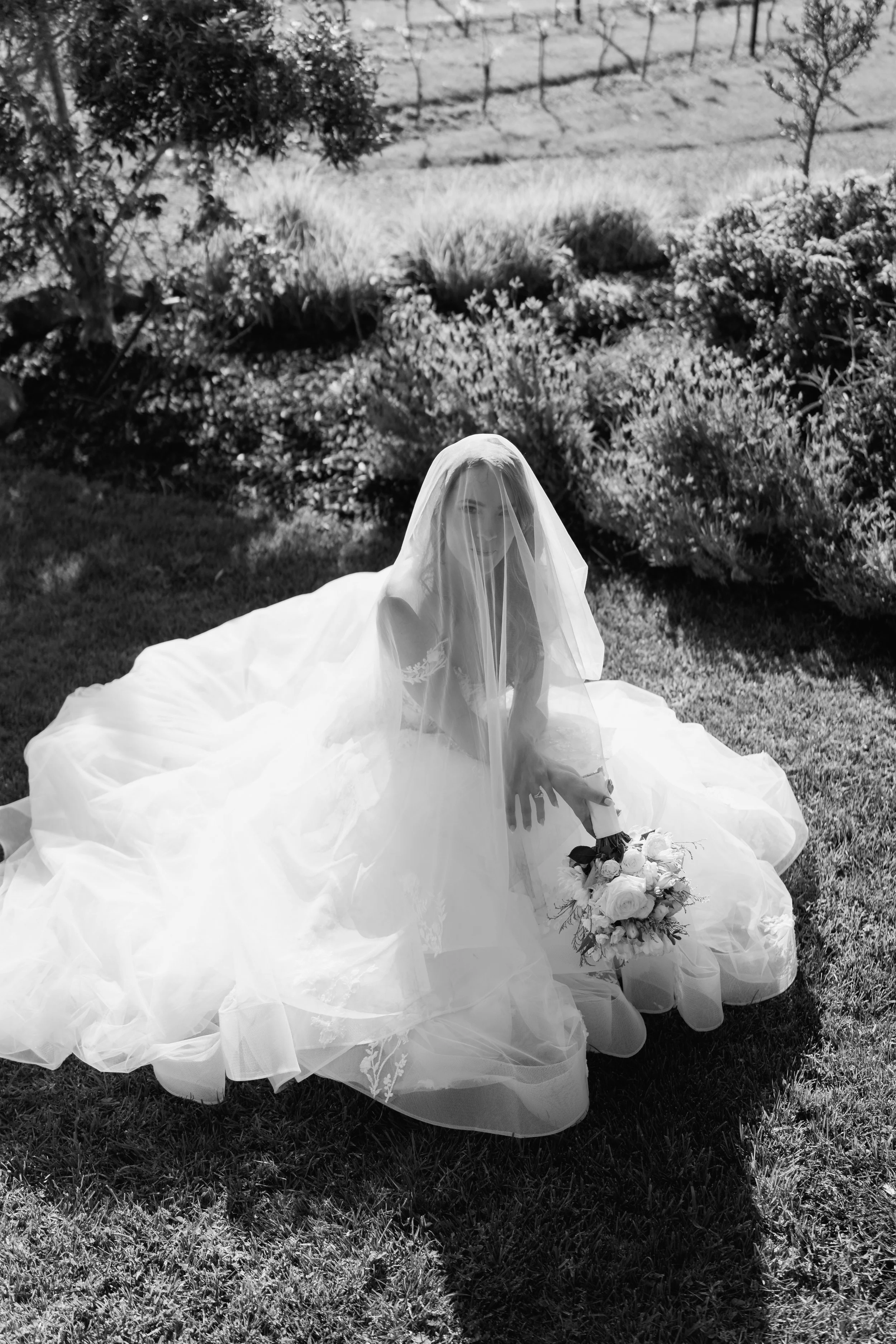 Tantalus-Estate-Waiheke-Wedding_Emma&Matt85.jpg