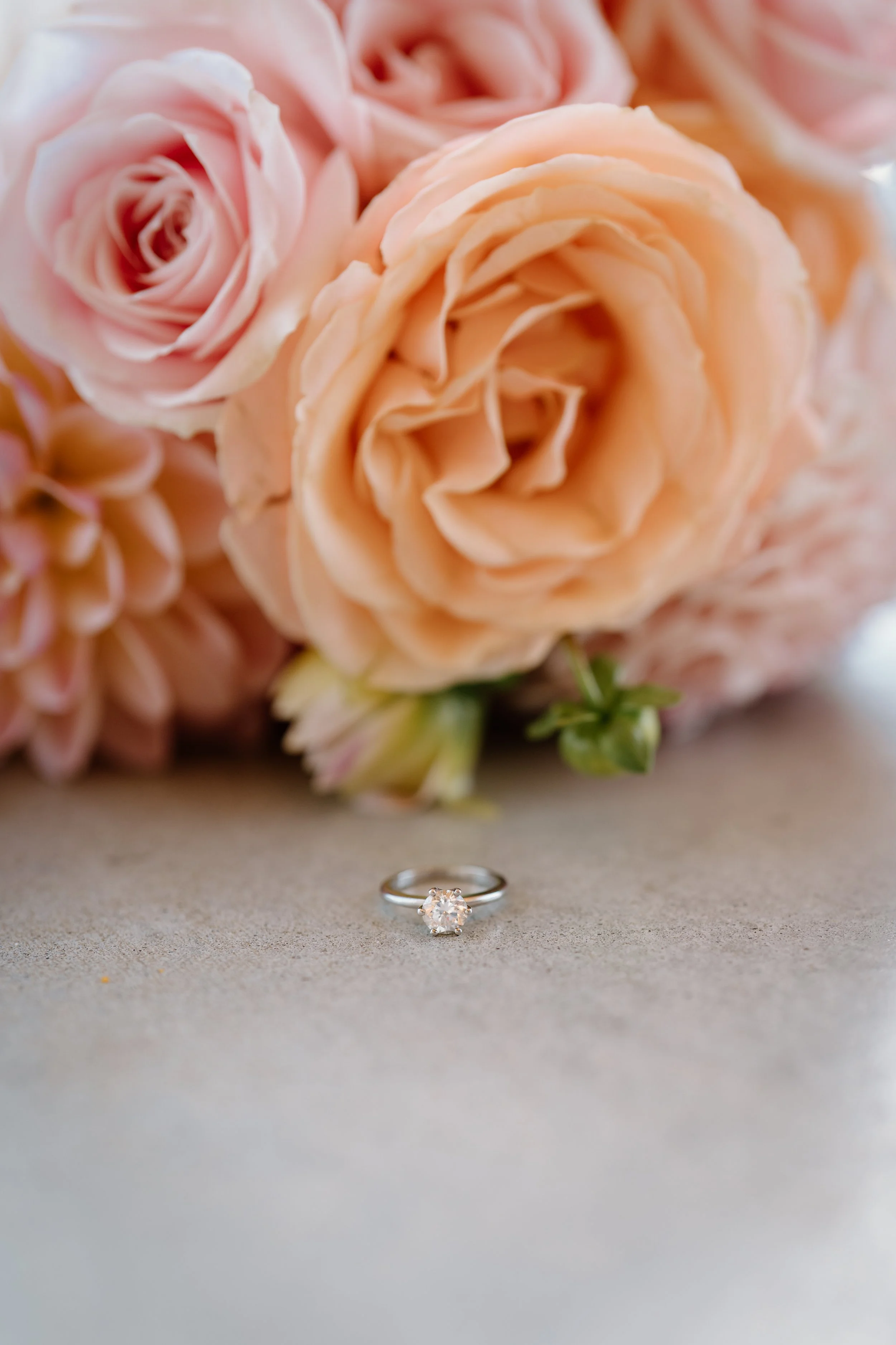 S+J_Vanderosa-Farms-Auckland-Wedding-Photographer7.jpg